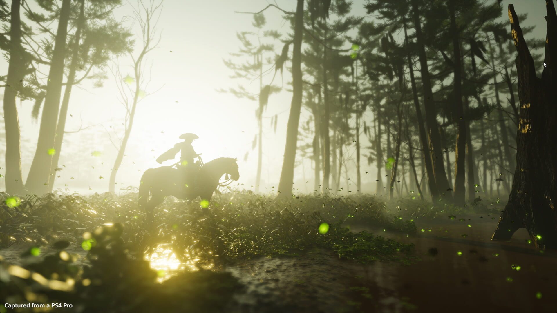Screenshot for Ghost of Tsushima