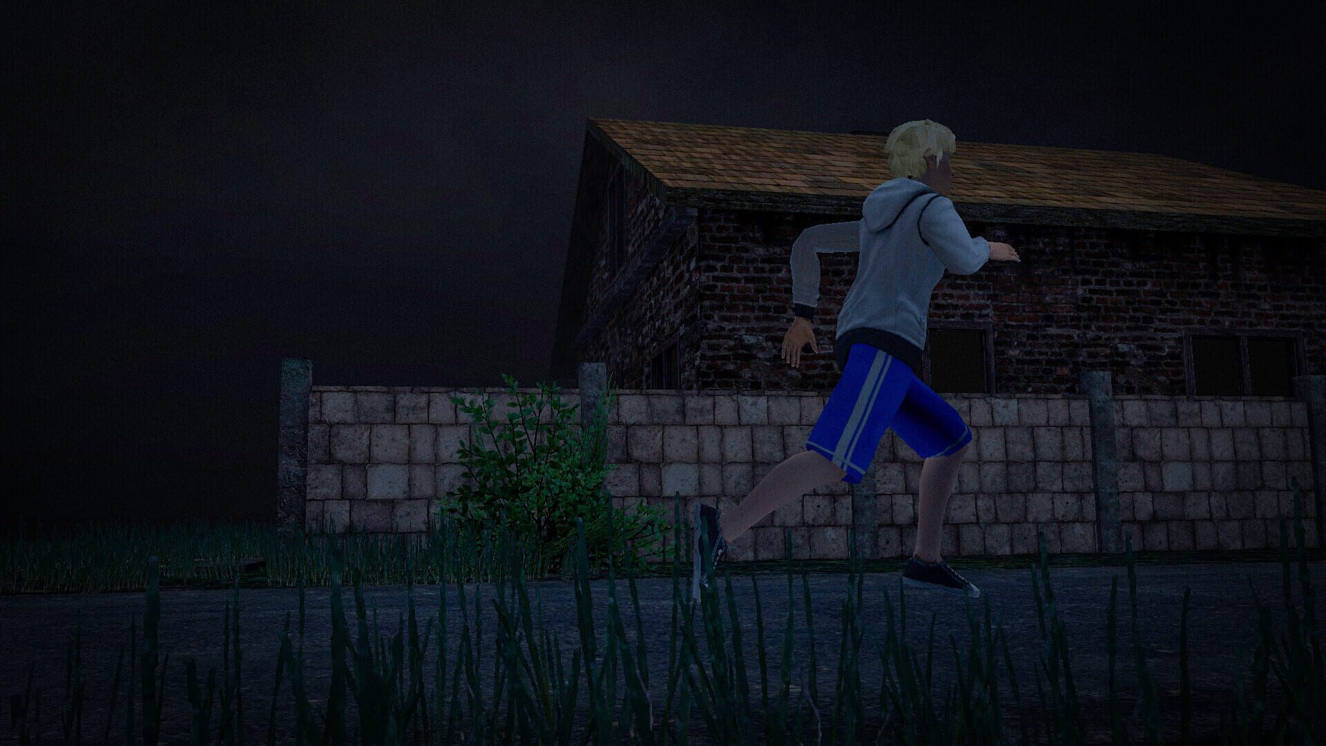 Screenshot for Joker Show: Horror Escape