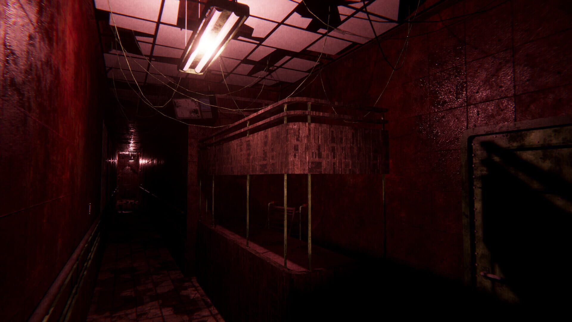Screenshot for Sorrow Asylum 2