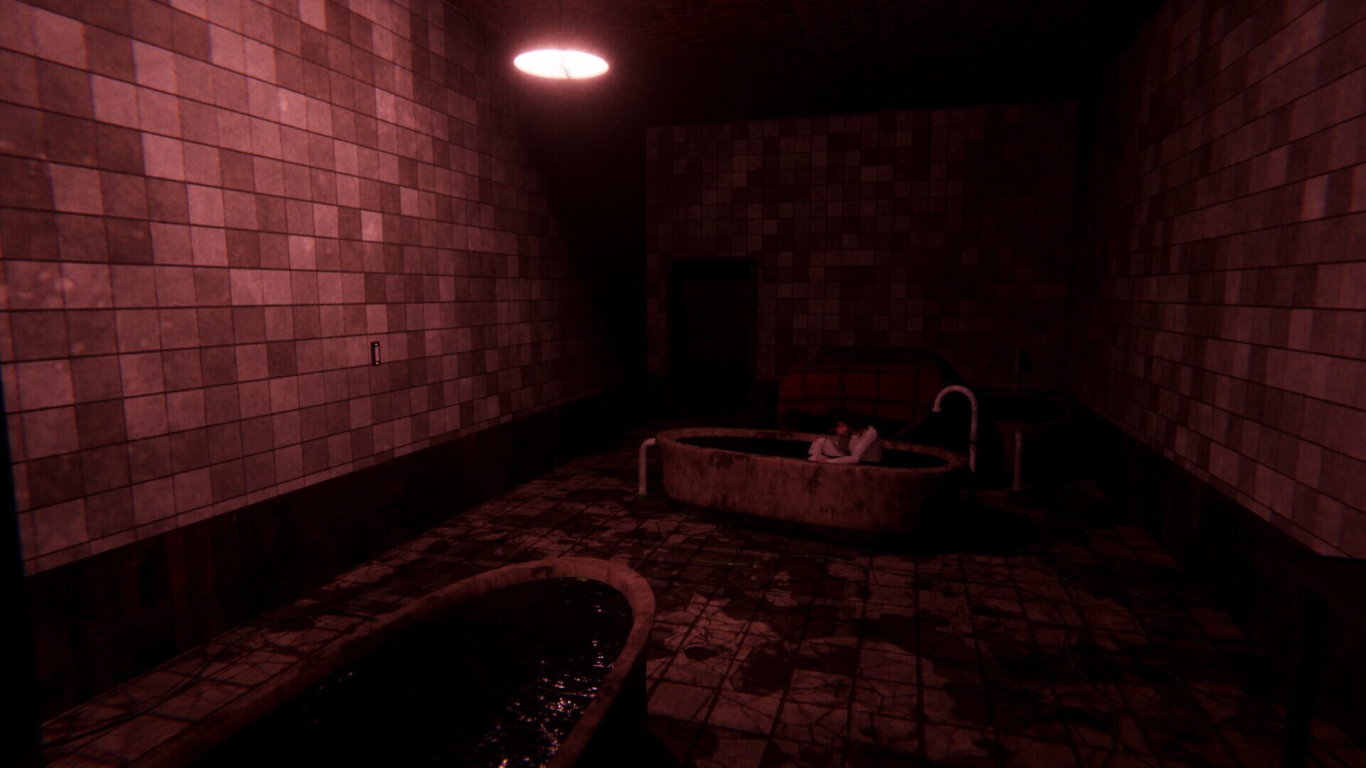 Screenshot for Sorrow Asylum 2