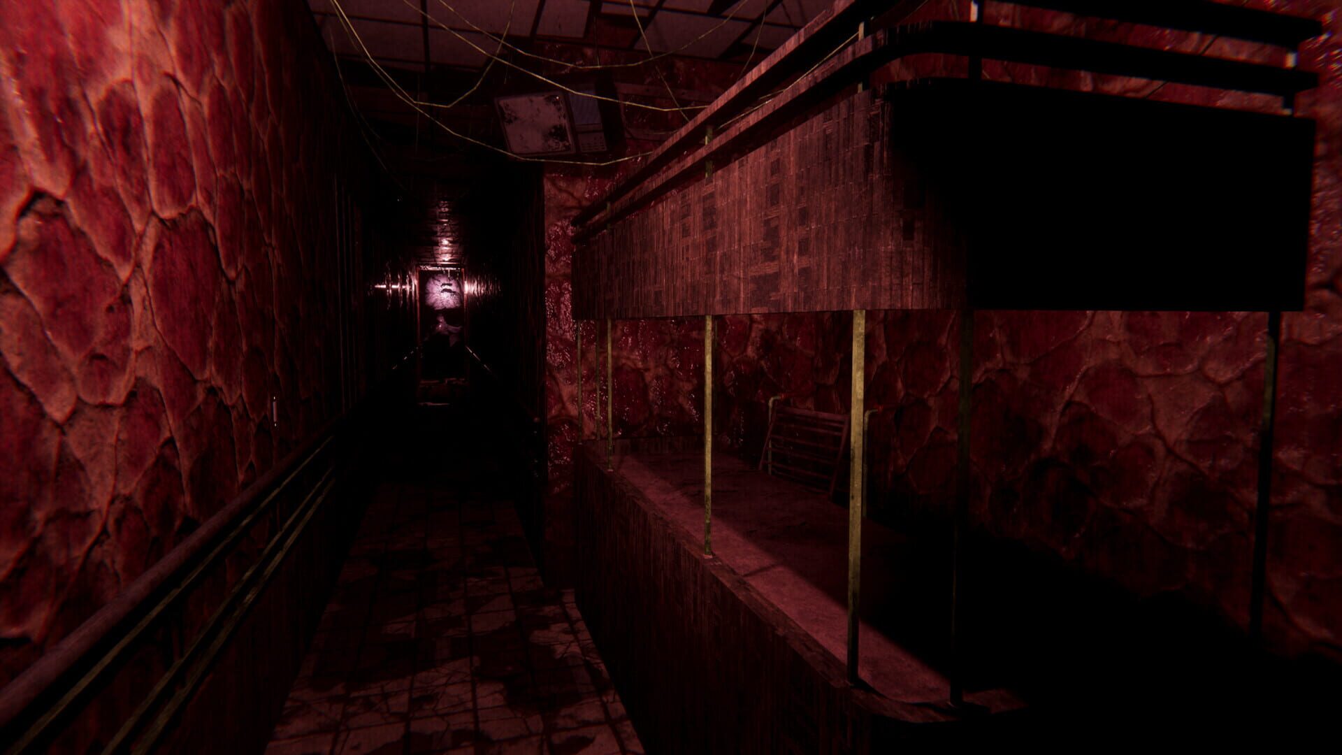 Screenshot for Sorrow Asylum 2