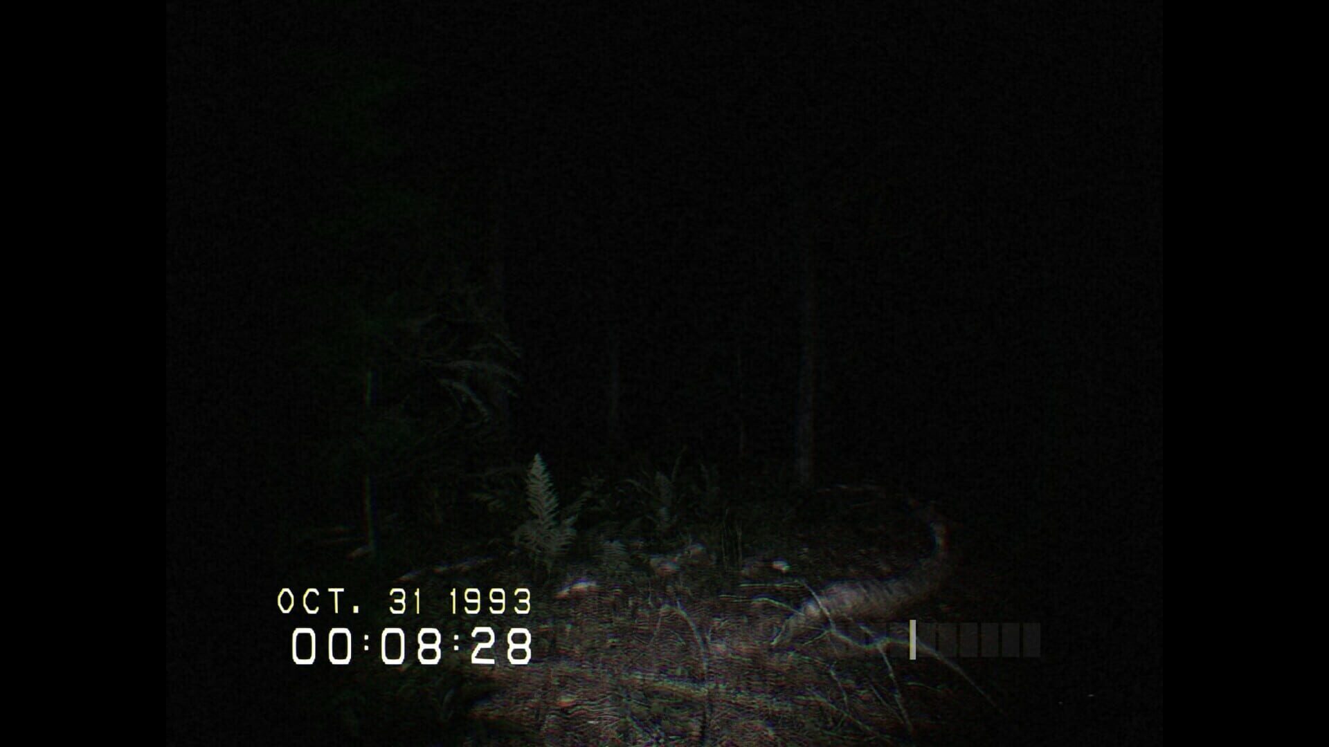 Screenshot for Don't Scream