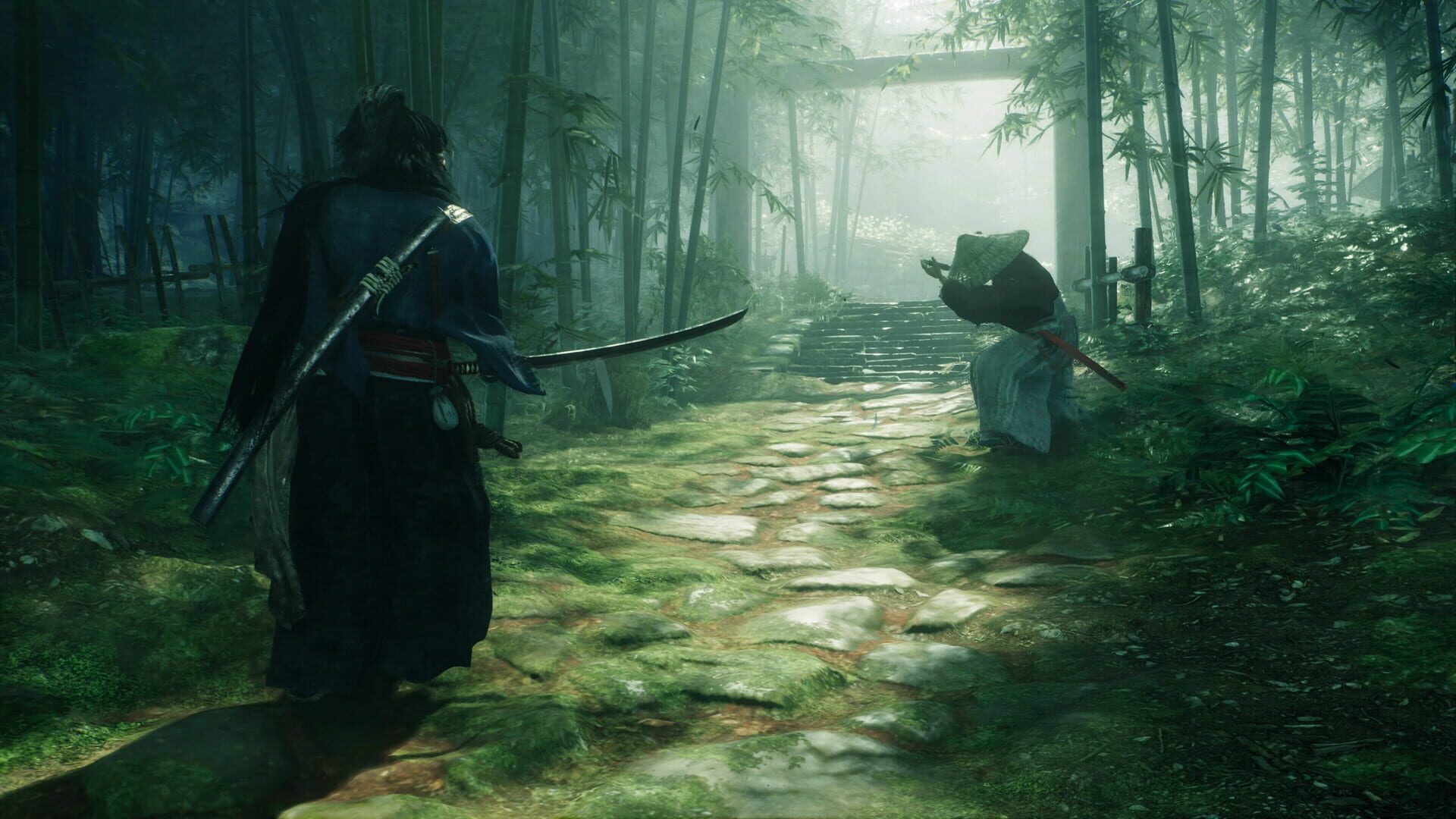 Screenshot for Rise of the Ronin