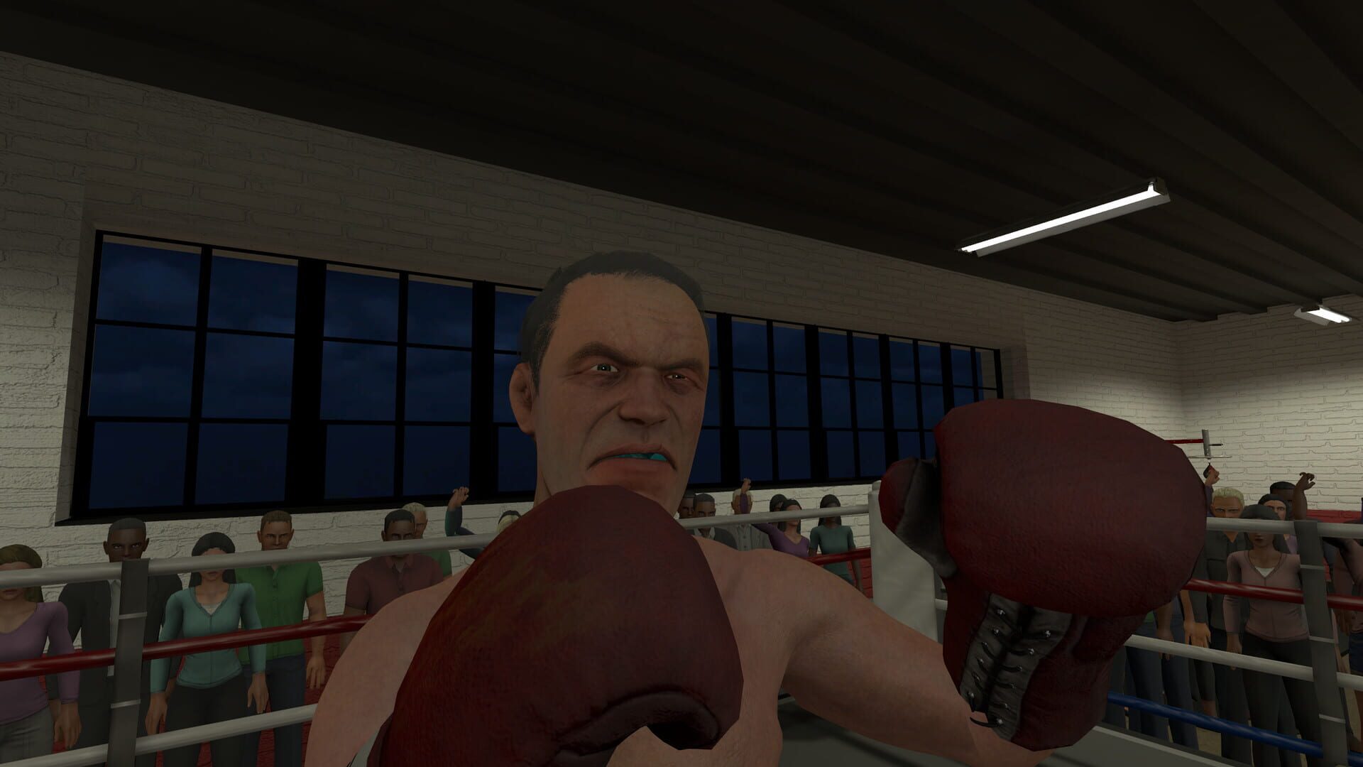 Screenshot for The Thrill of the Fight