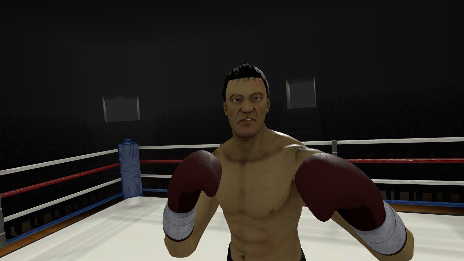 Screenshot for The Thrill of the Fight