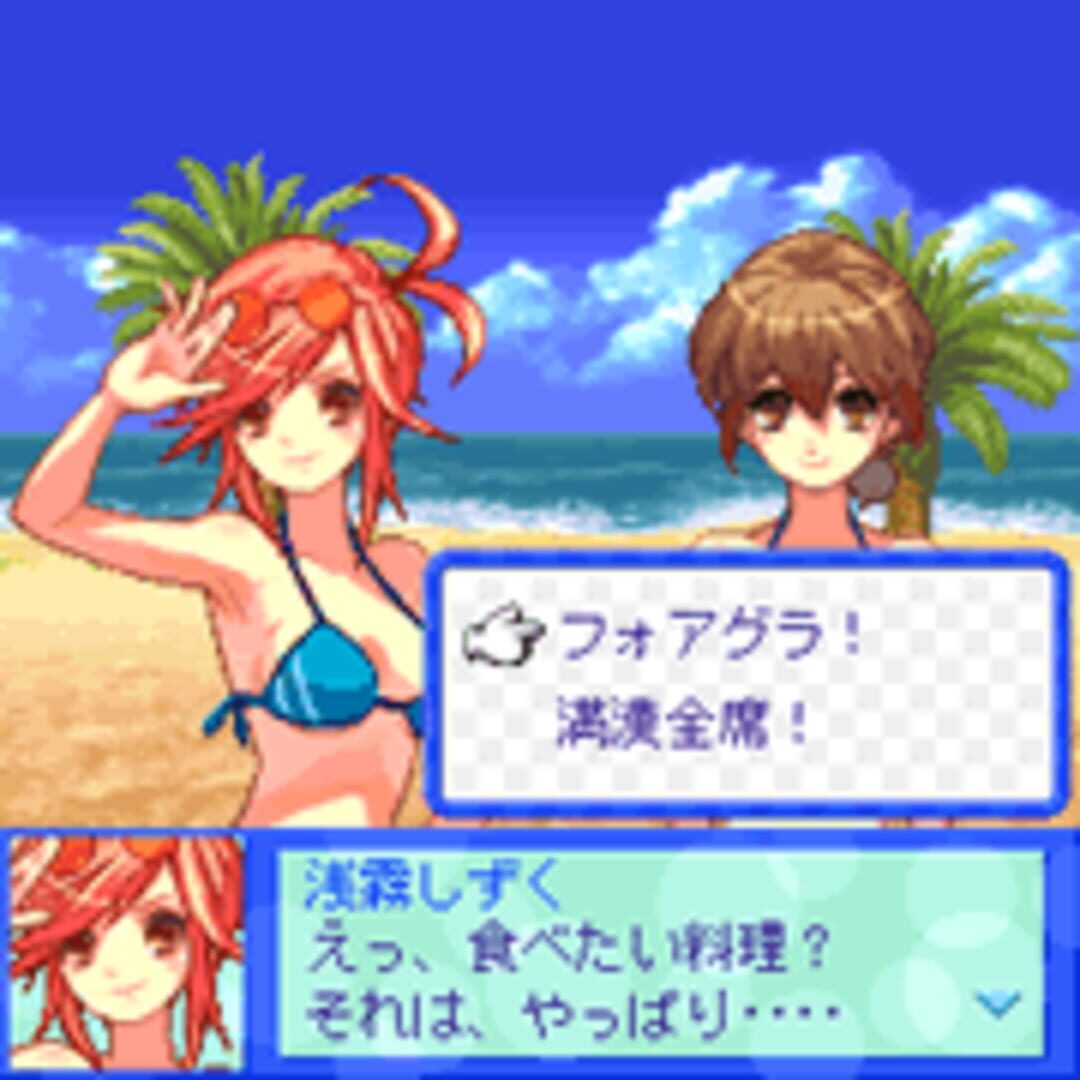 Screenshot for Beach Volleyball Girl Shizuku 2: Hishou-Hen
