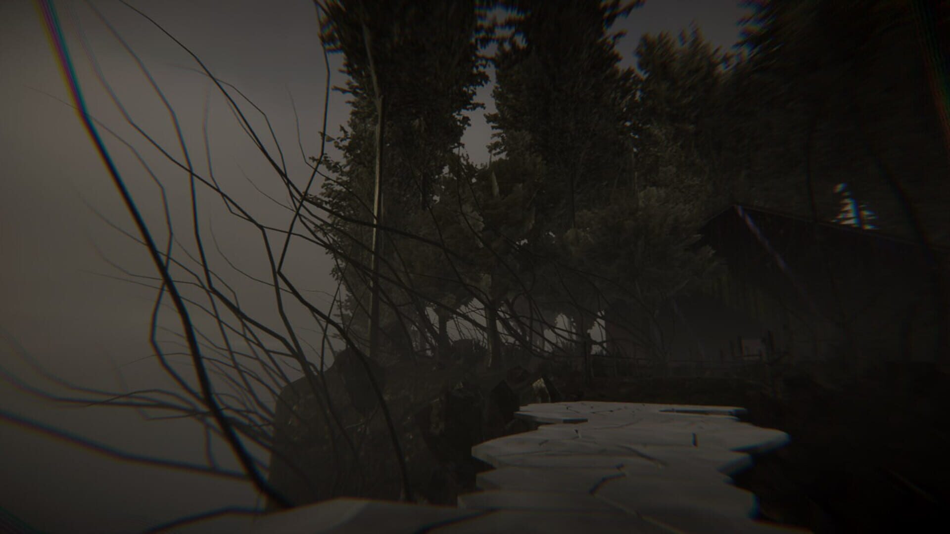 Screenshot for Dye The Bunny 2