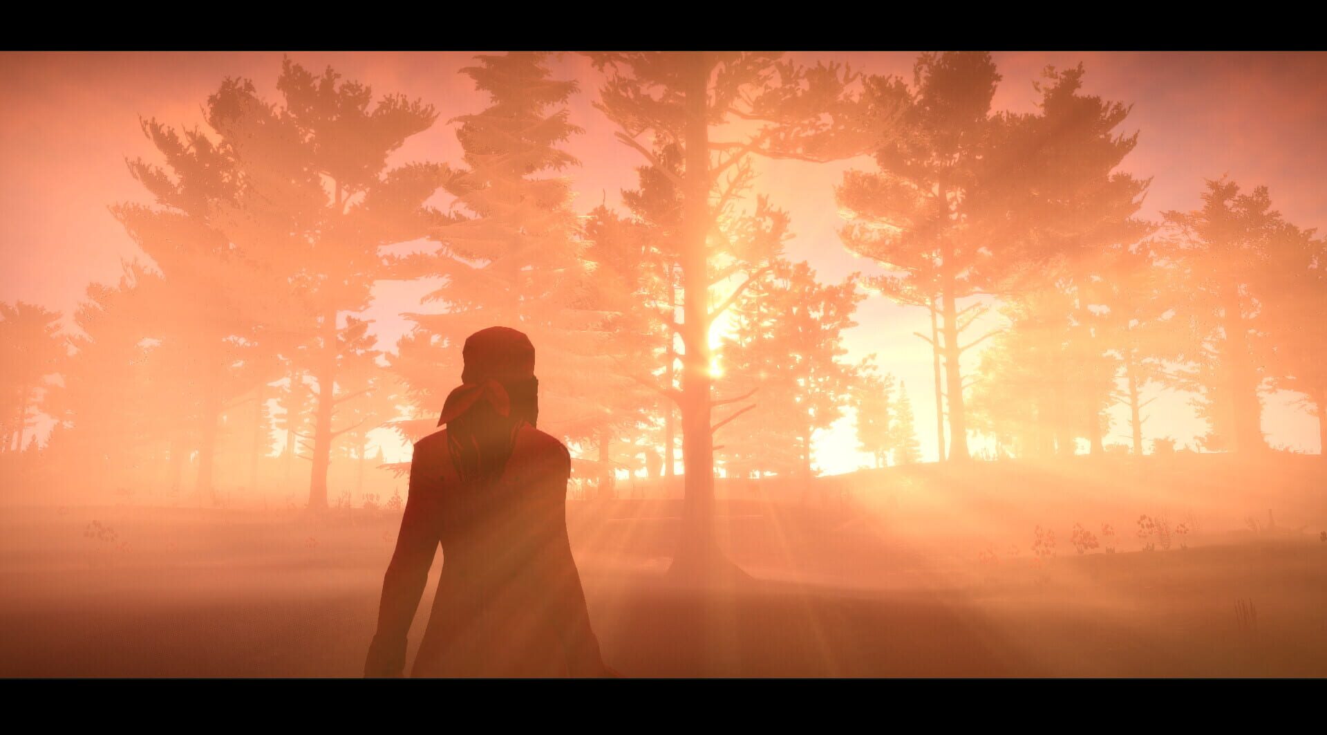 Screenshot for Forgotten Seas