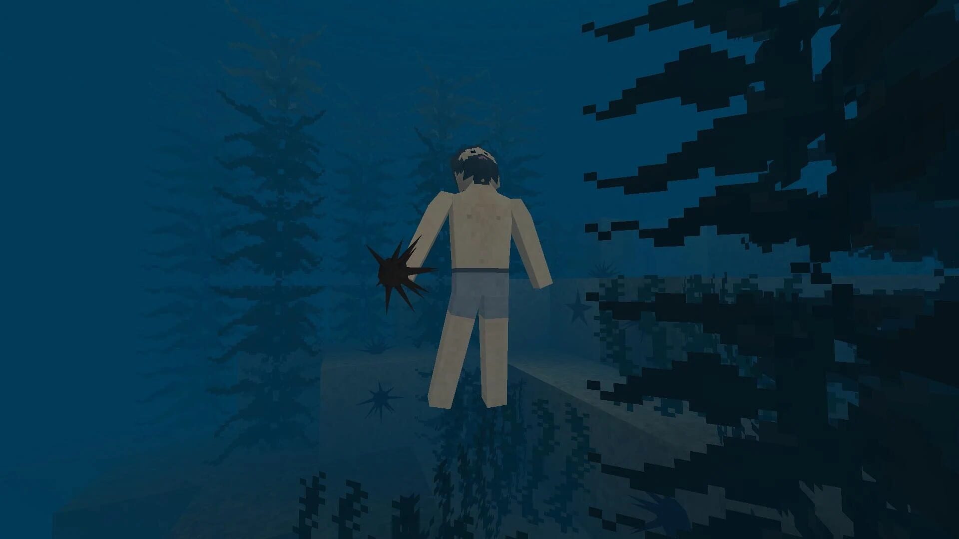 Screenshot for Survivalcraft 2