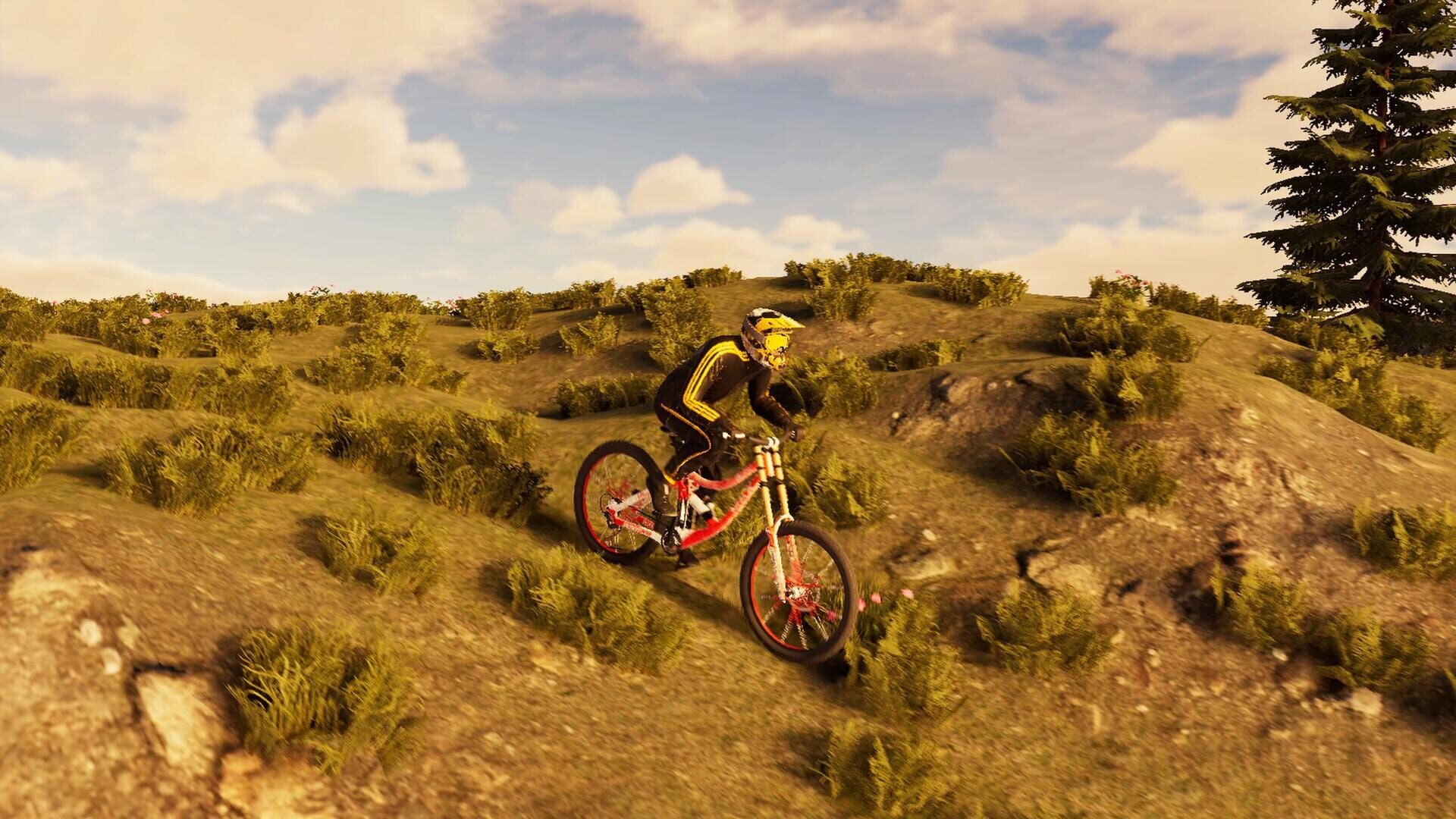 Screenshot for BMX Wild Run