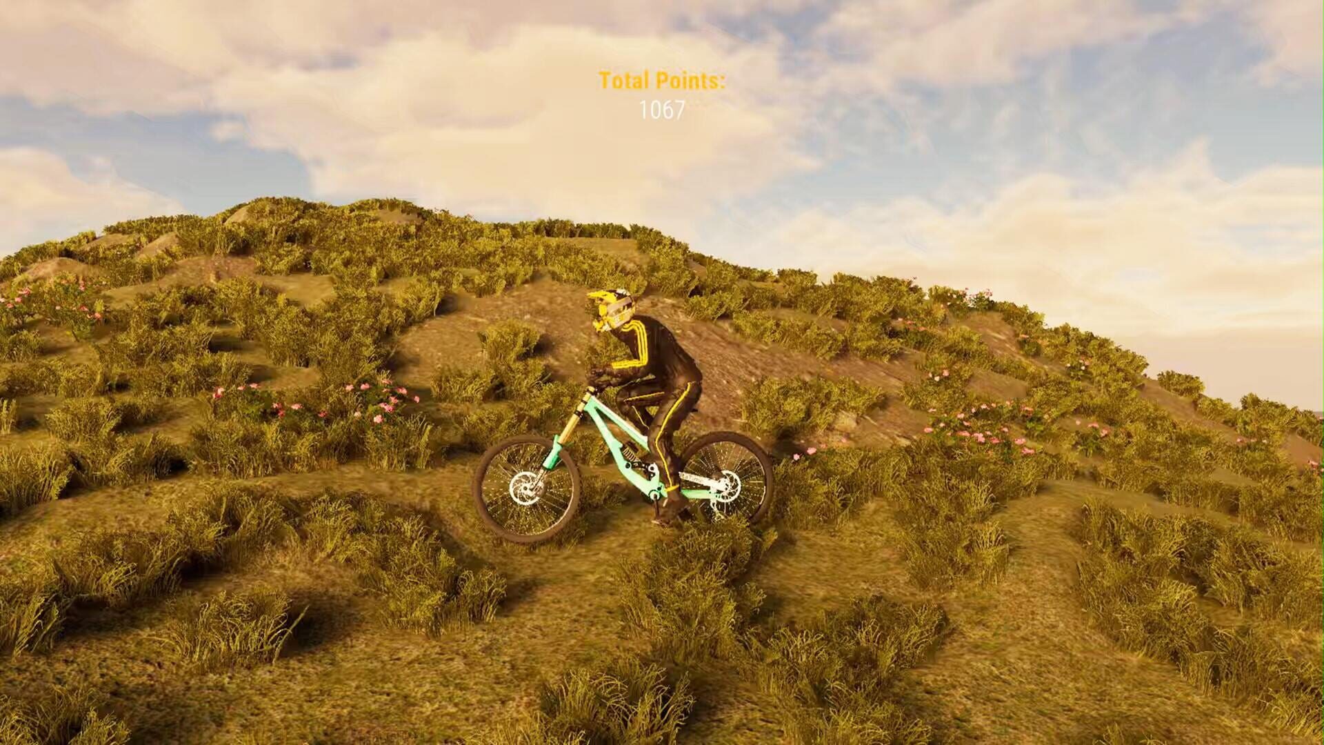 Screenshot for BMX Wild Run