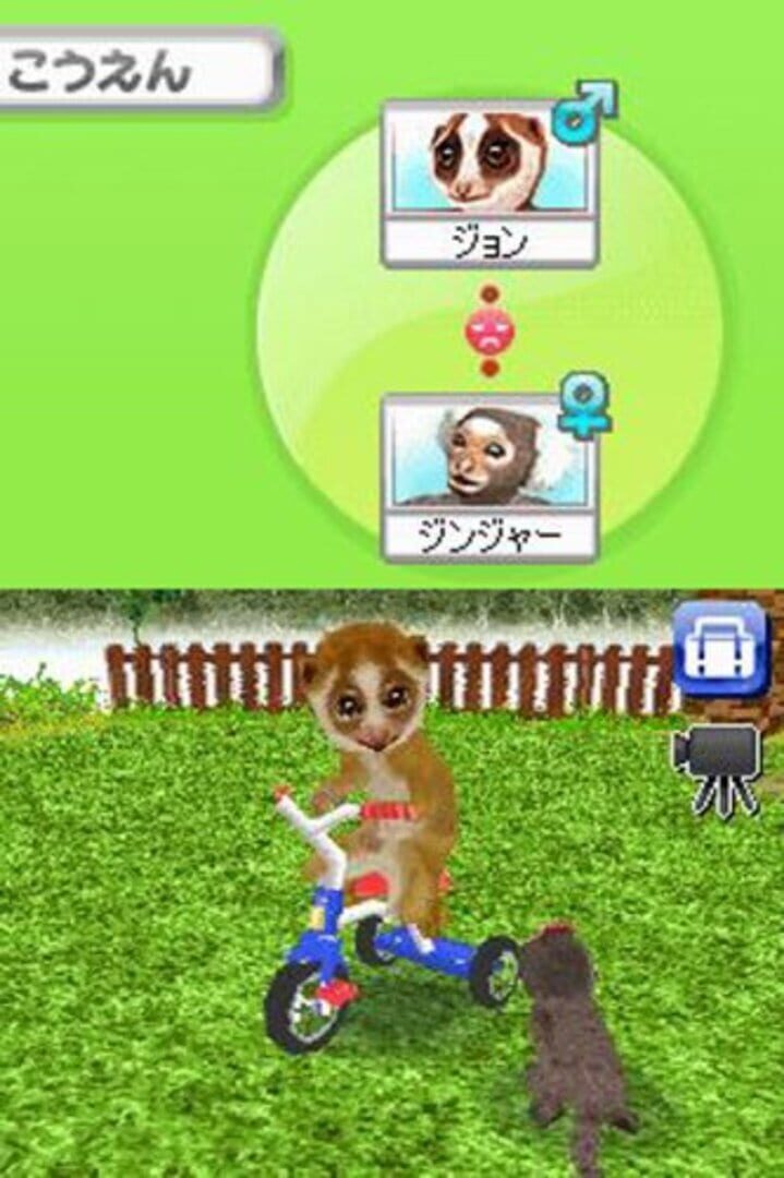 Screenshot for Petz Monkeyz House