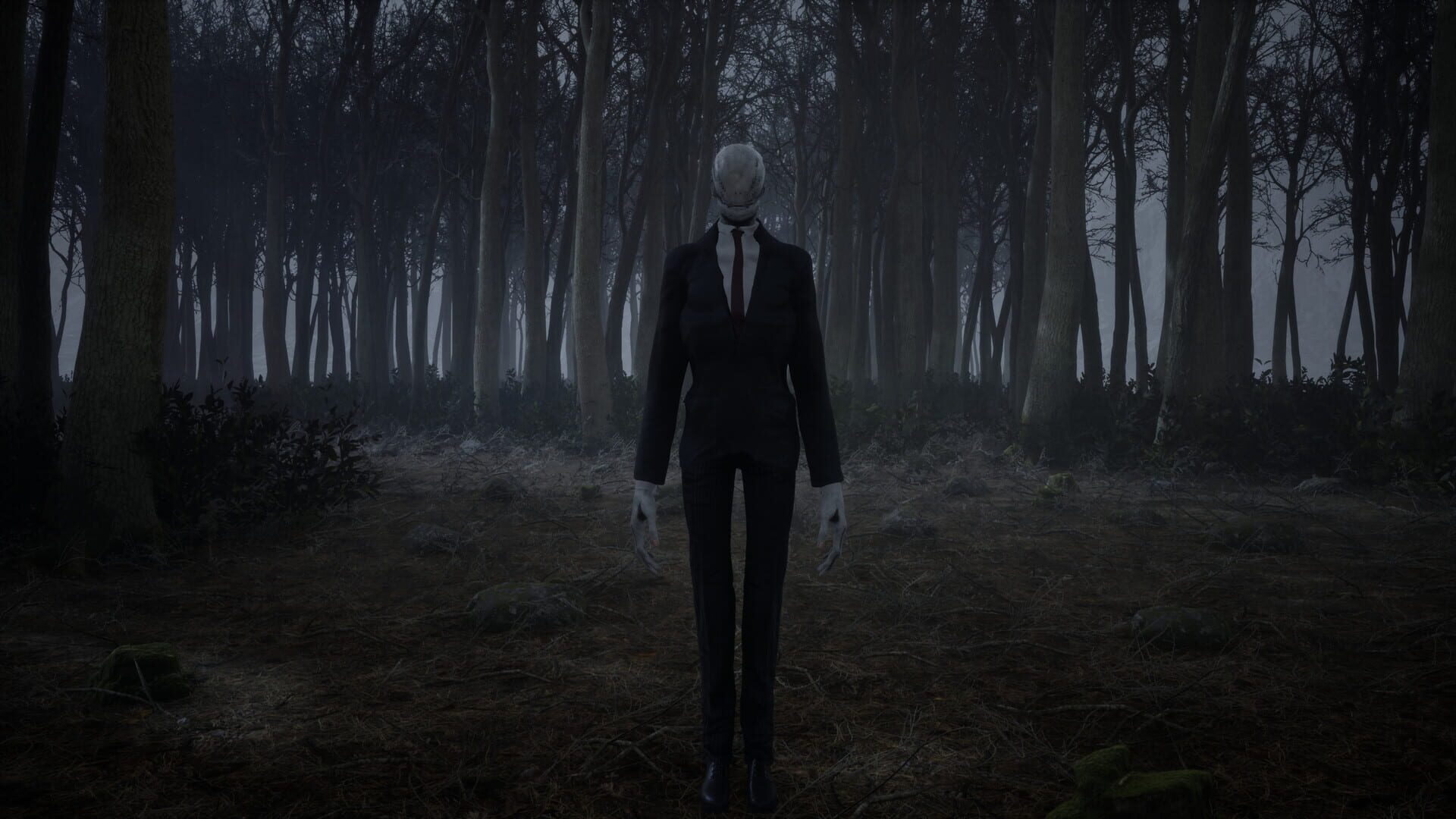Screenshot for Slender: Reborn