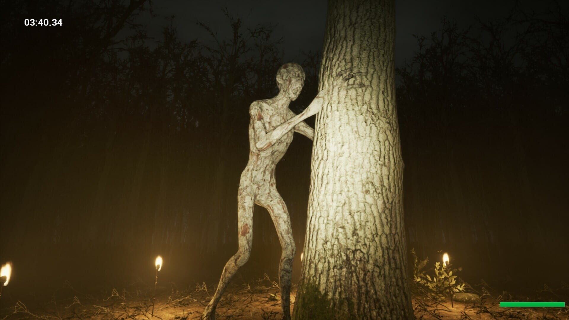 Screenshot for Slender: Reborn