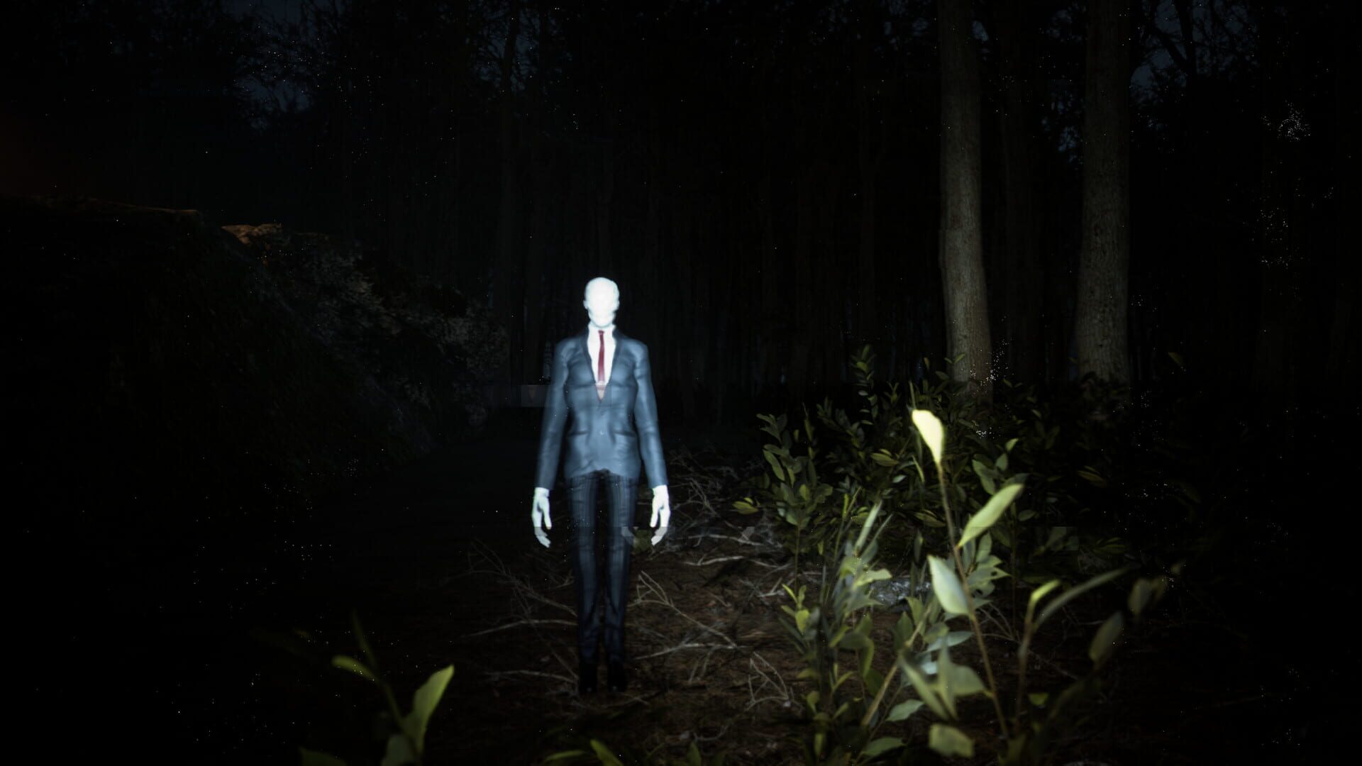 Screenshot for Slender: Reborn