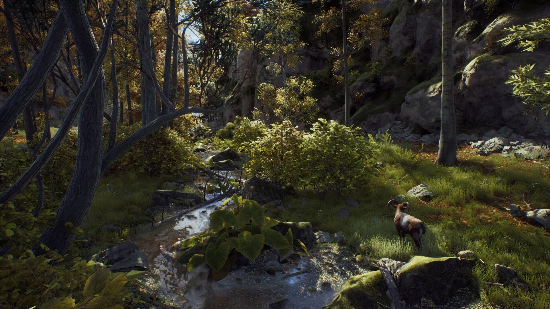 Screenshot for Way of the Hunter