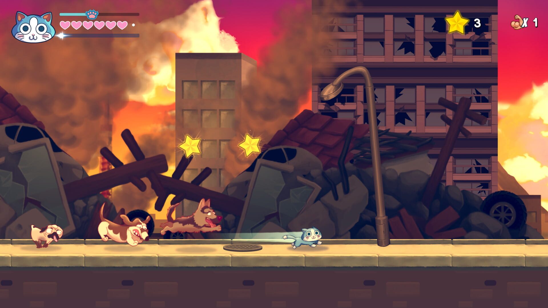 Screenshot for KinnikuNeko: Super Muscle Cat