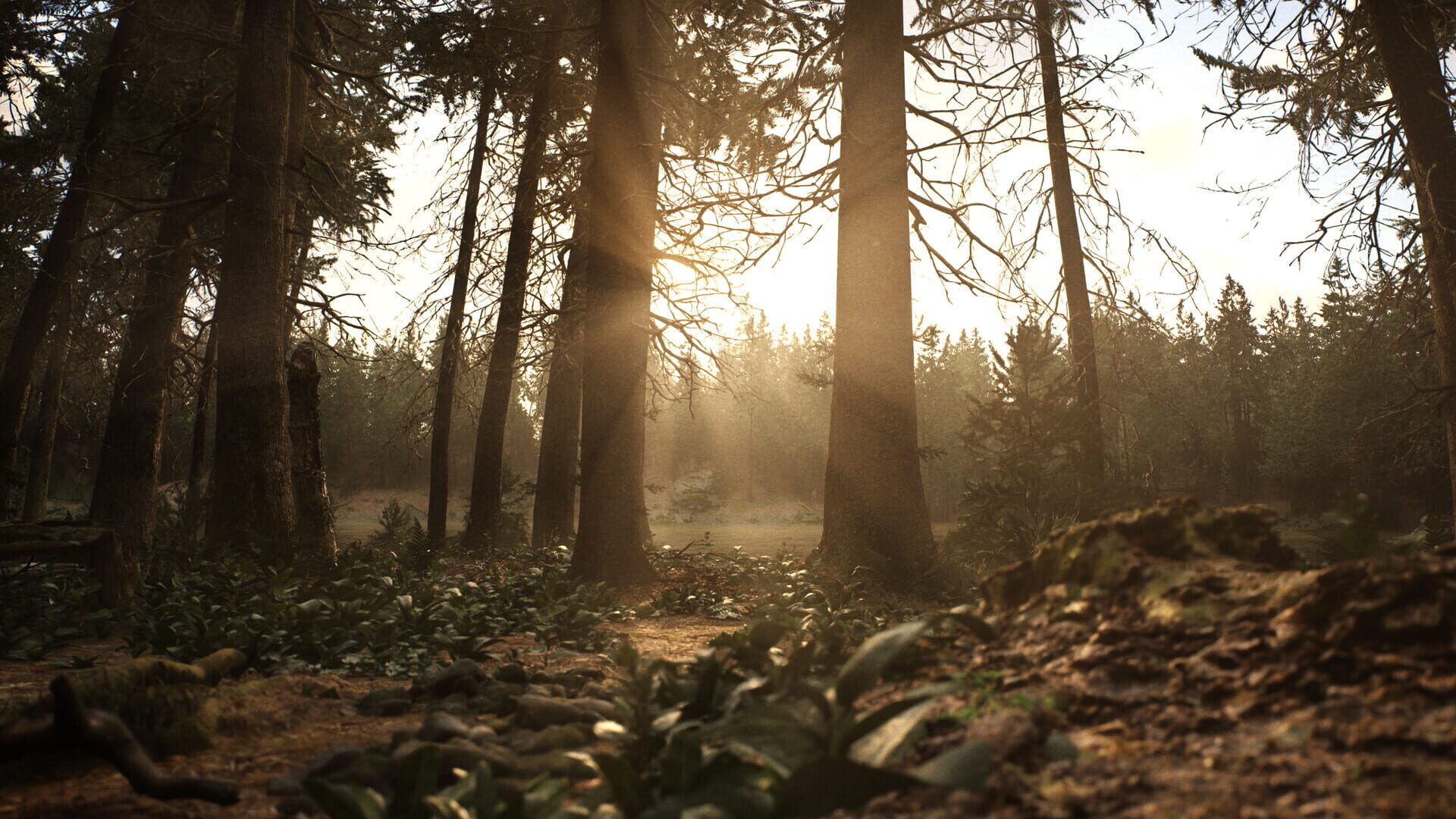 Screenshot for Whispers in the Fog
