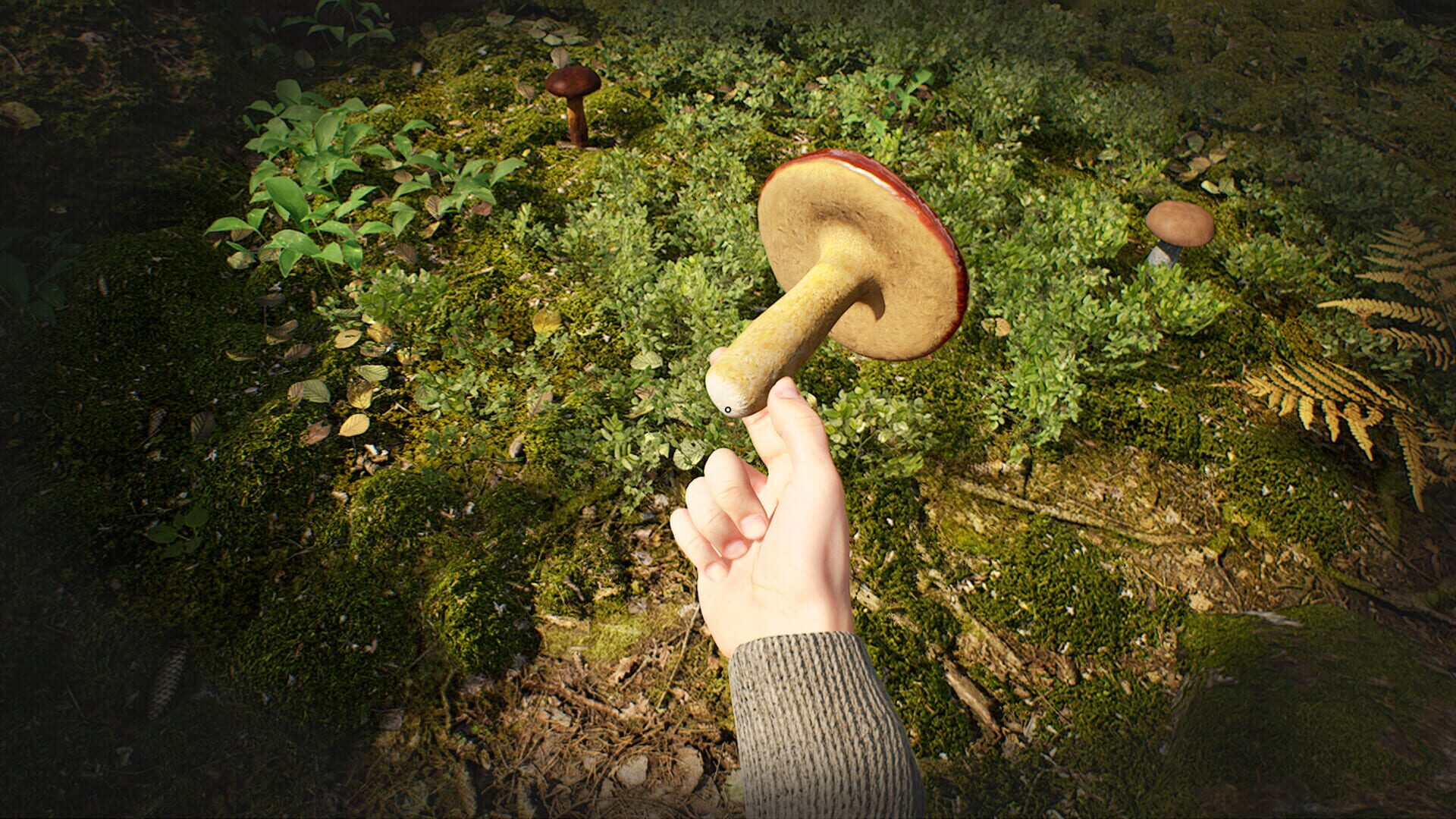 Screenshot for Mushroom Hunter Simulator