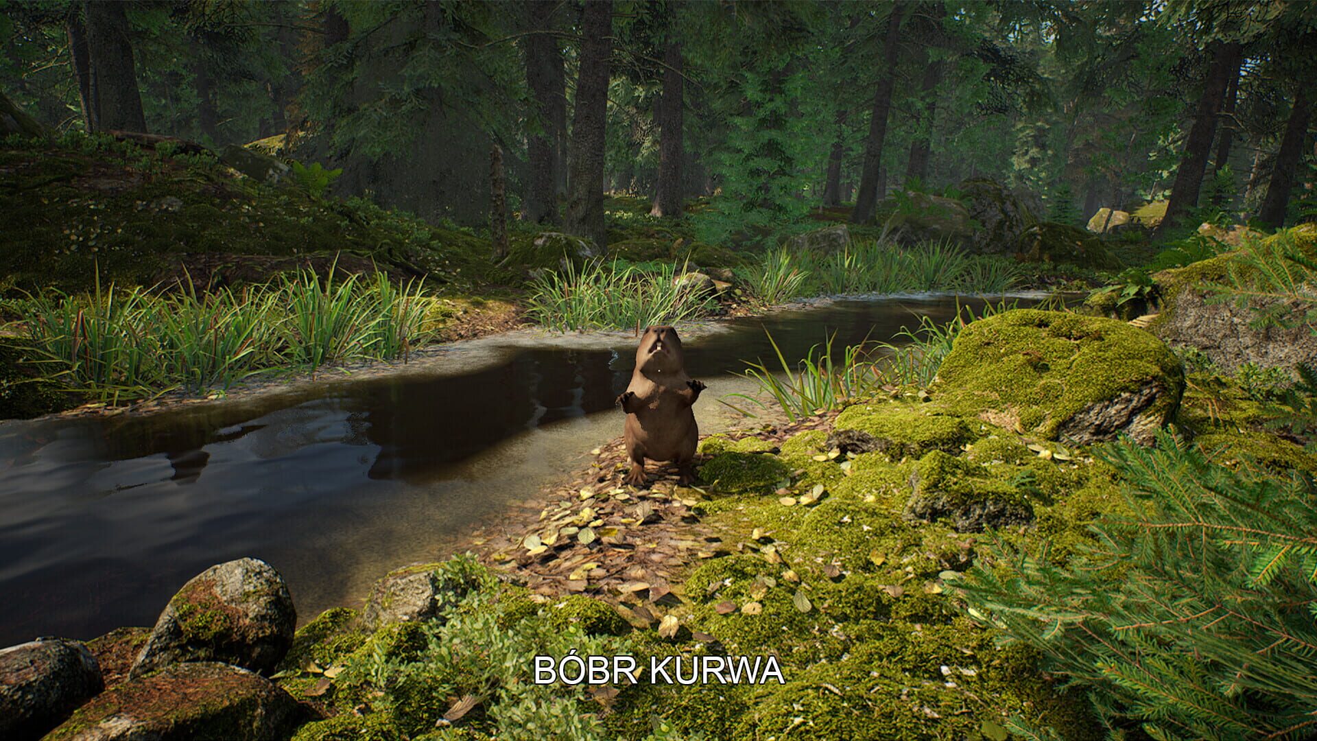 Screenshot for Mushroom Hunter Simulator