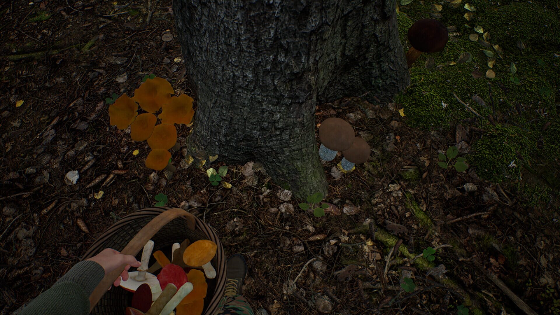 Screenshot for Mushroom Hunter Simulator