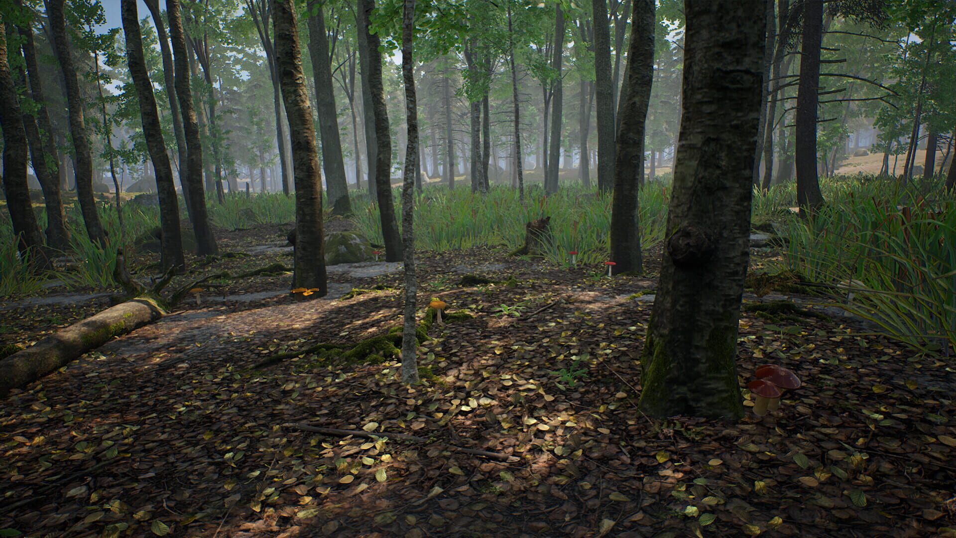 Screenshot for Mushroom Hunter Simulator