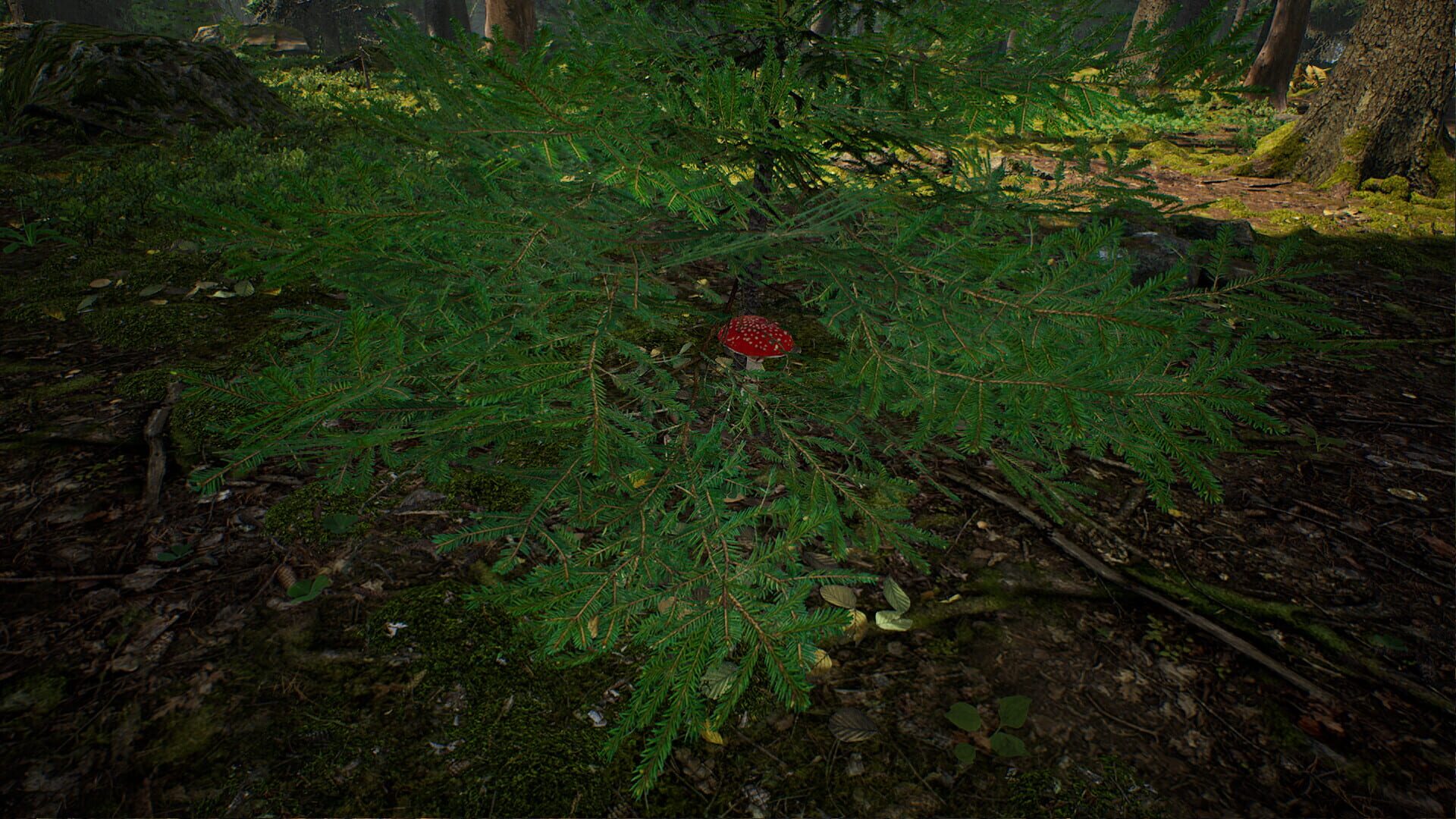 Screenshot for Mushroom Hunter Simulator
