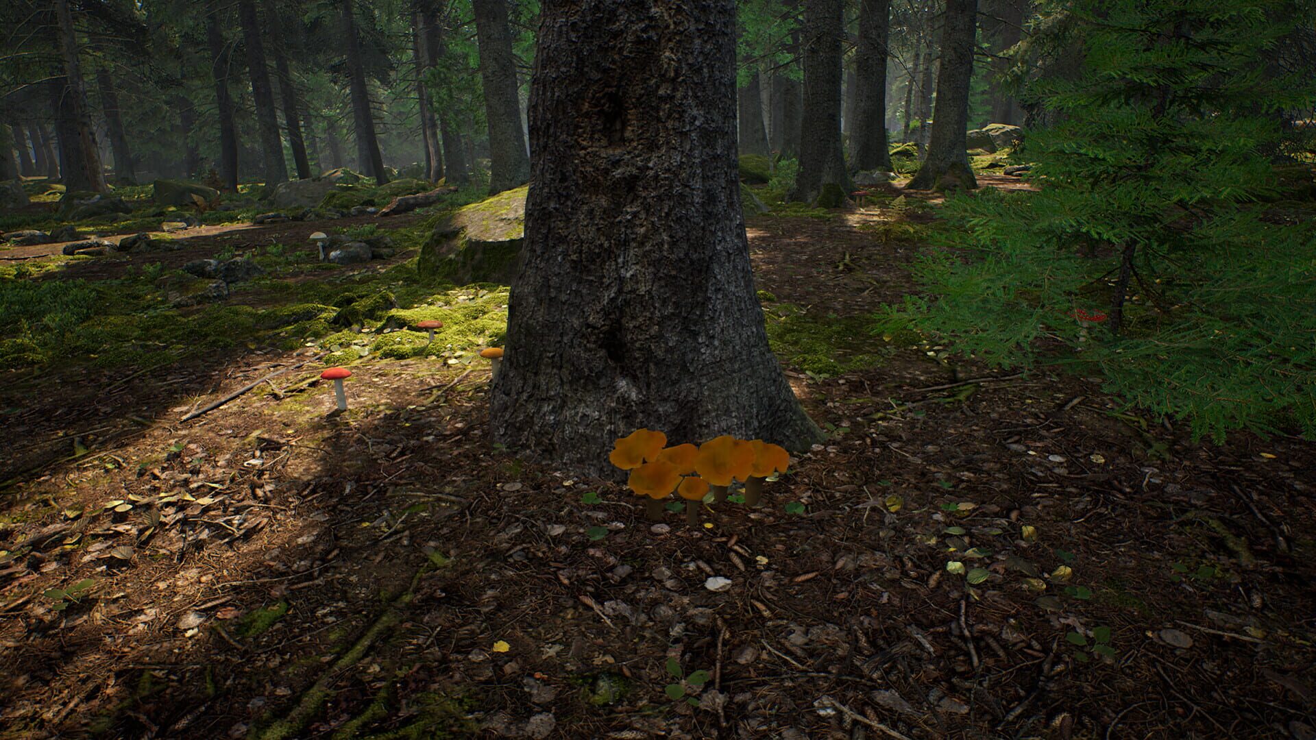 Screenshot for Mushroom Hunter Simulator