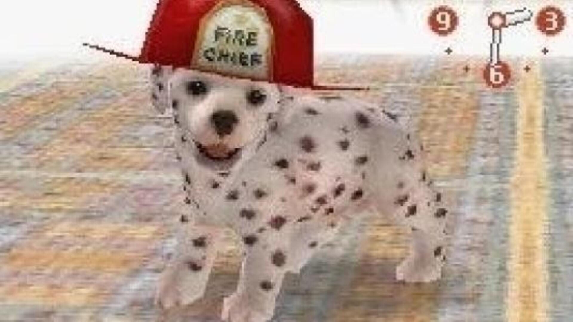 Screenshot for Nintendogs: Dalmatian & Friends