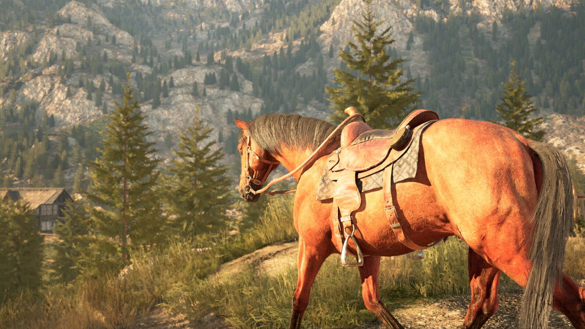 Screenshot for Medieval Horse Simulator