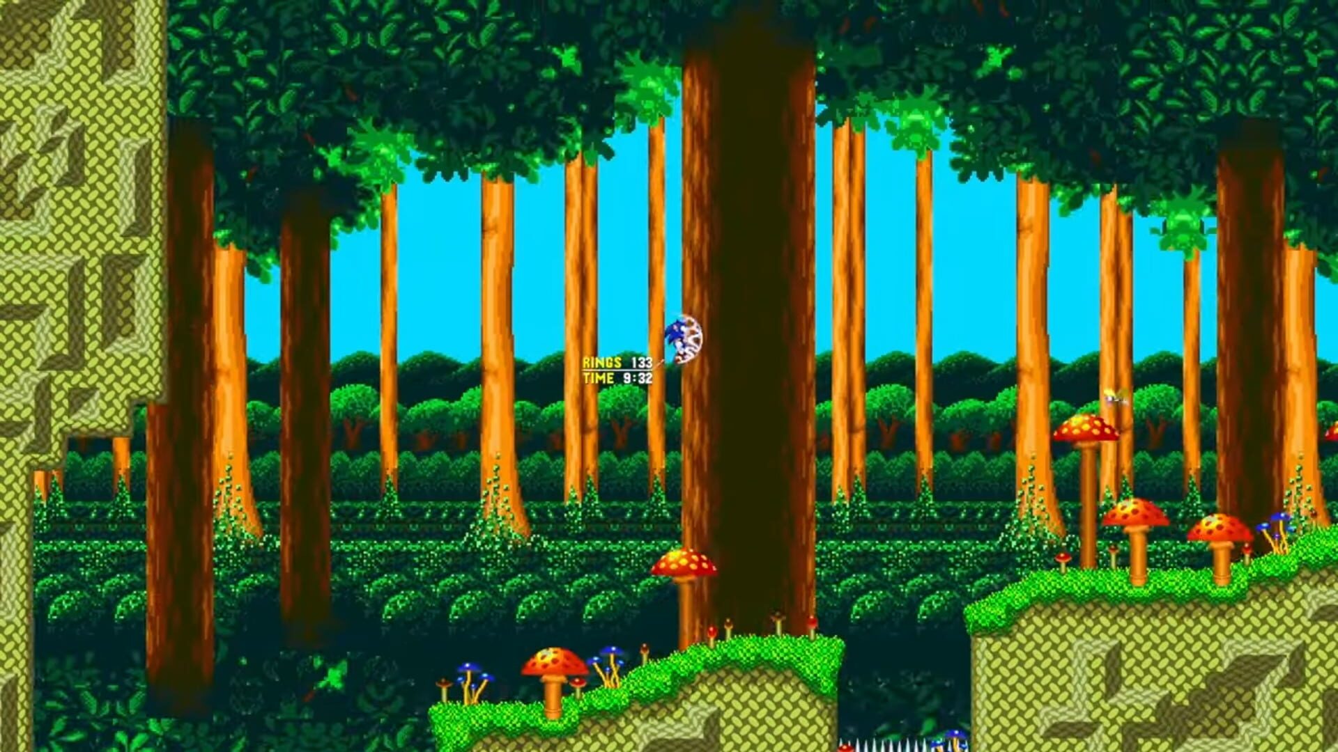 Screenshot for Untitled Sonic Fangame