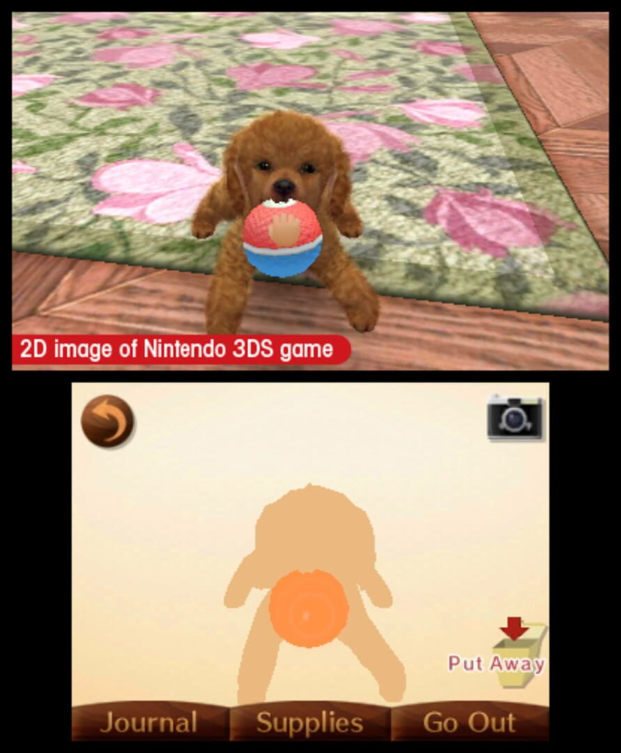 Screenshot for Nintendogs + Cats: French Bulldog & New Friends