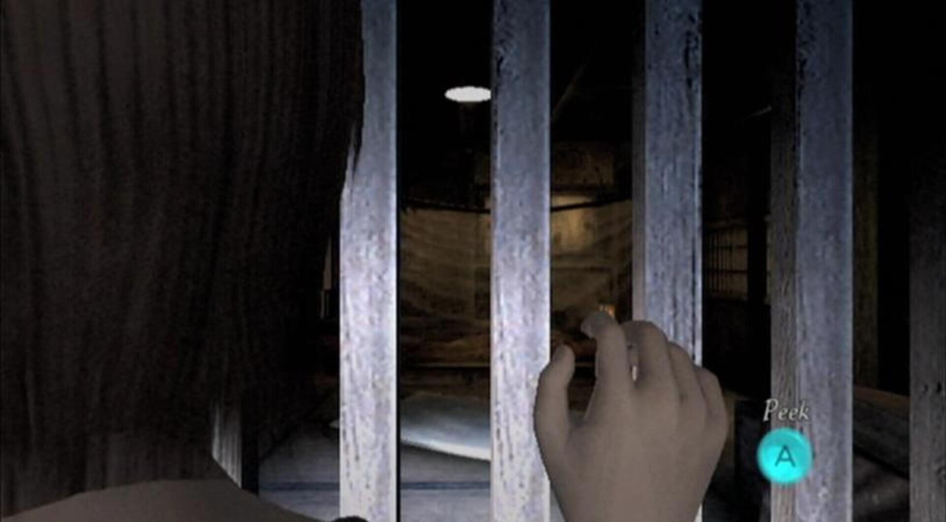 Screenshot for Project Zero 2: Wii Edition