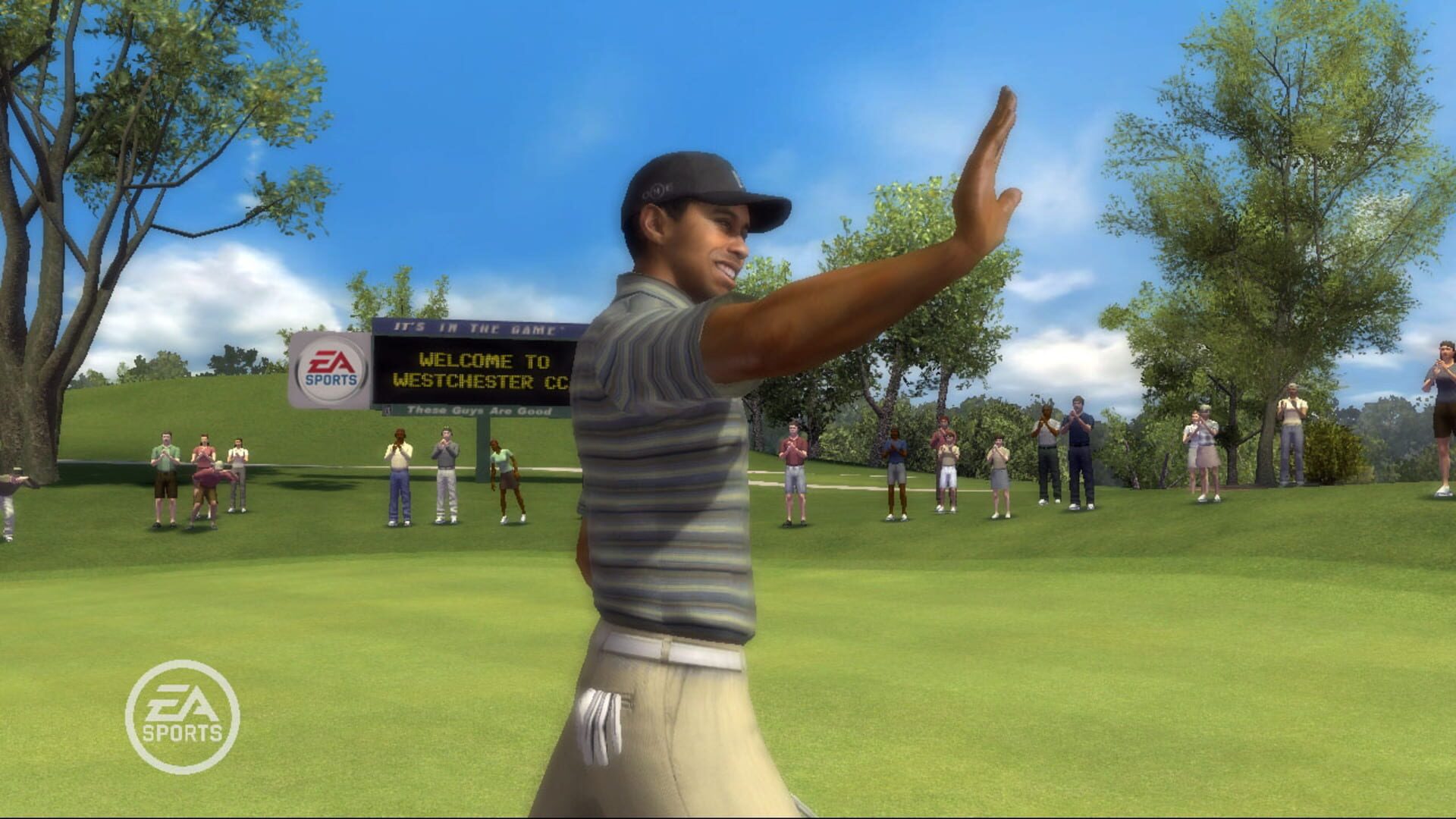 Screenshot for Tiger Woods PGA Tour 08