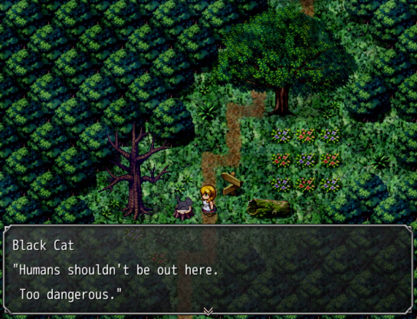 Screenshot for The Witch's House