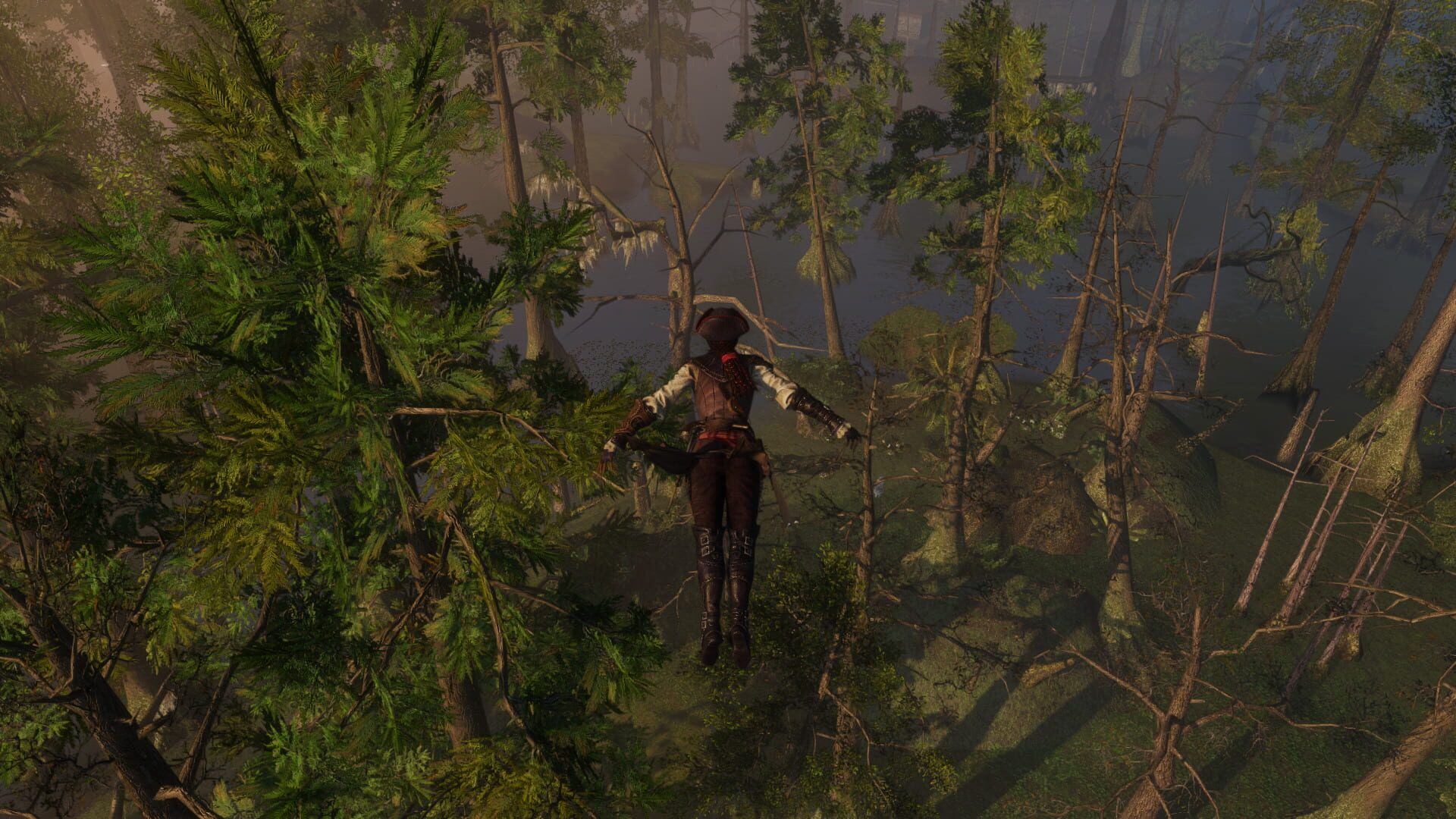 Screenshot for Assassin's Creed III: Liberation