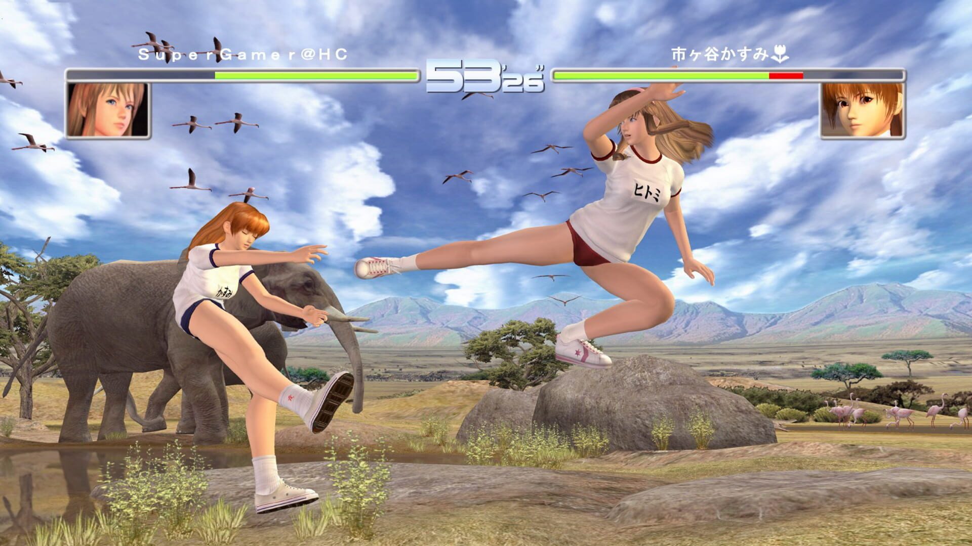 Screenshot for Dead or Alive 2 Ultimate