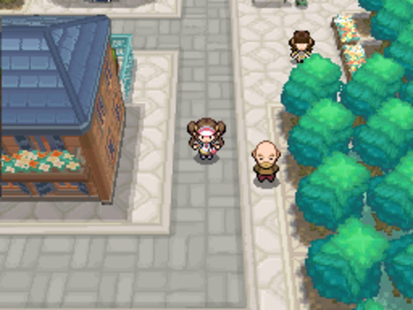 Screenshot for Pokémon Black Version 2