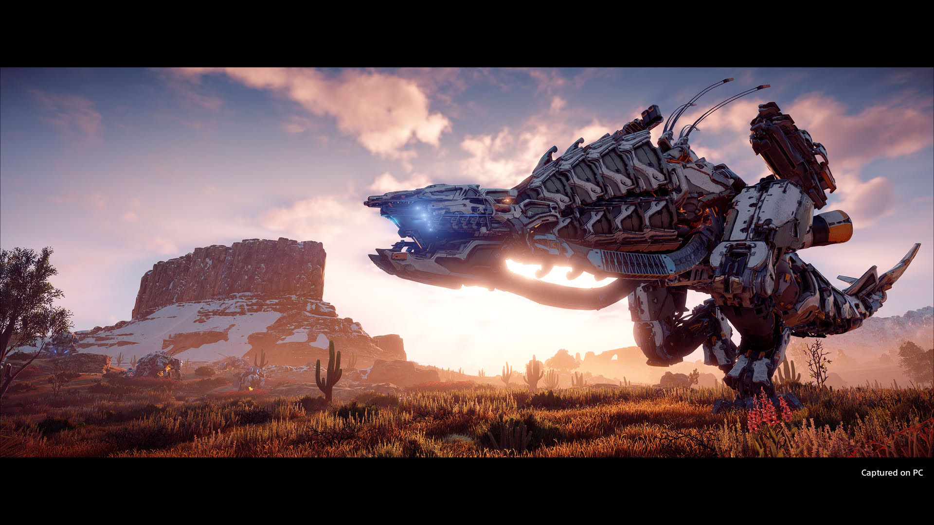 Screenshot for Horizon Zero Dawn Remastered