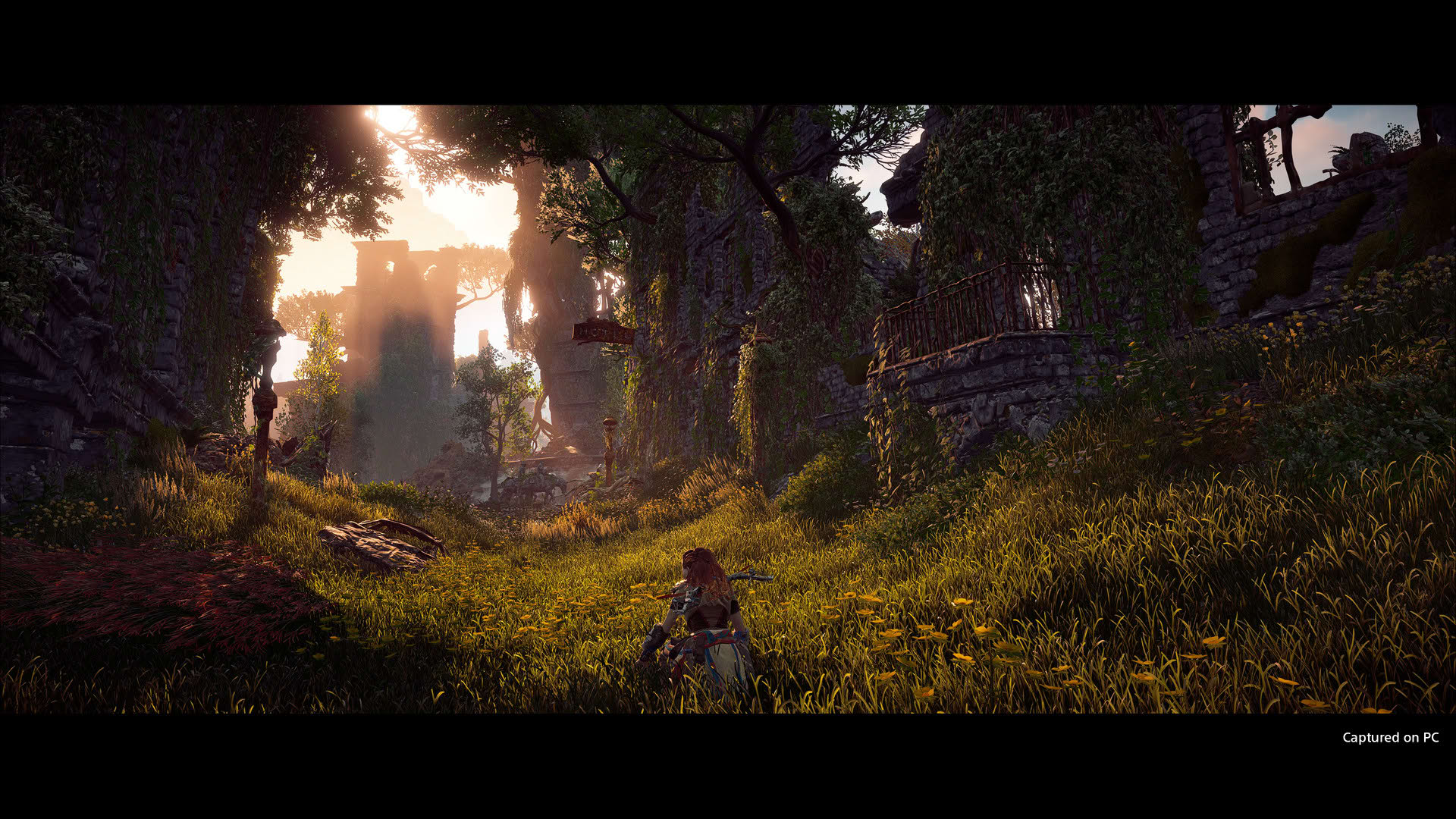Screenshot for Horizon Zero Dawn Remastered
