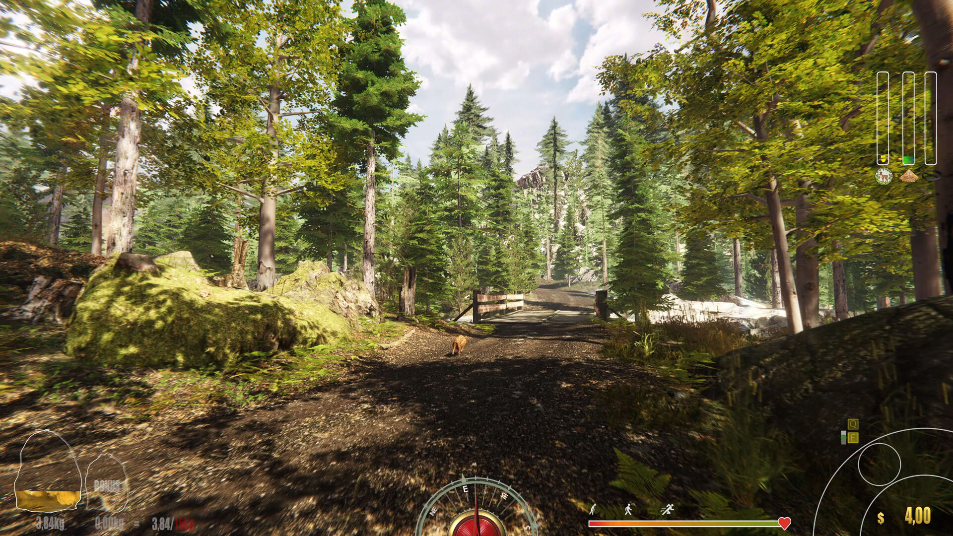 Screenshot for Forest Ranger Simulator