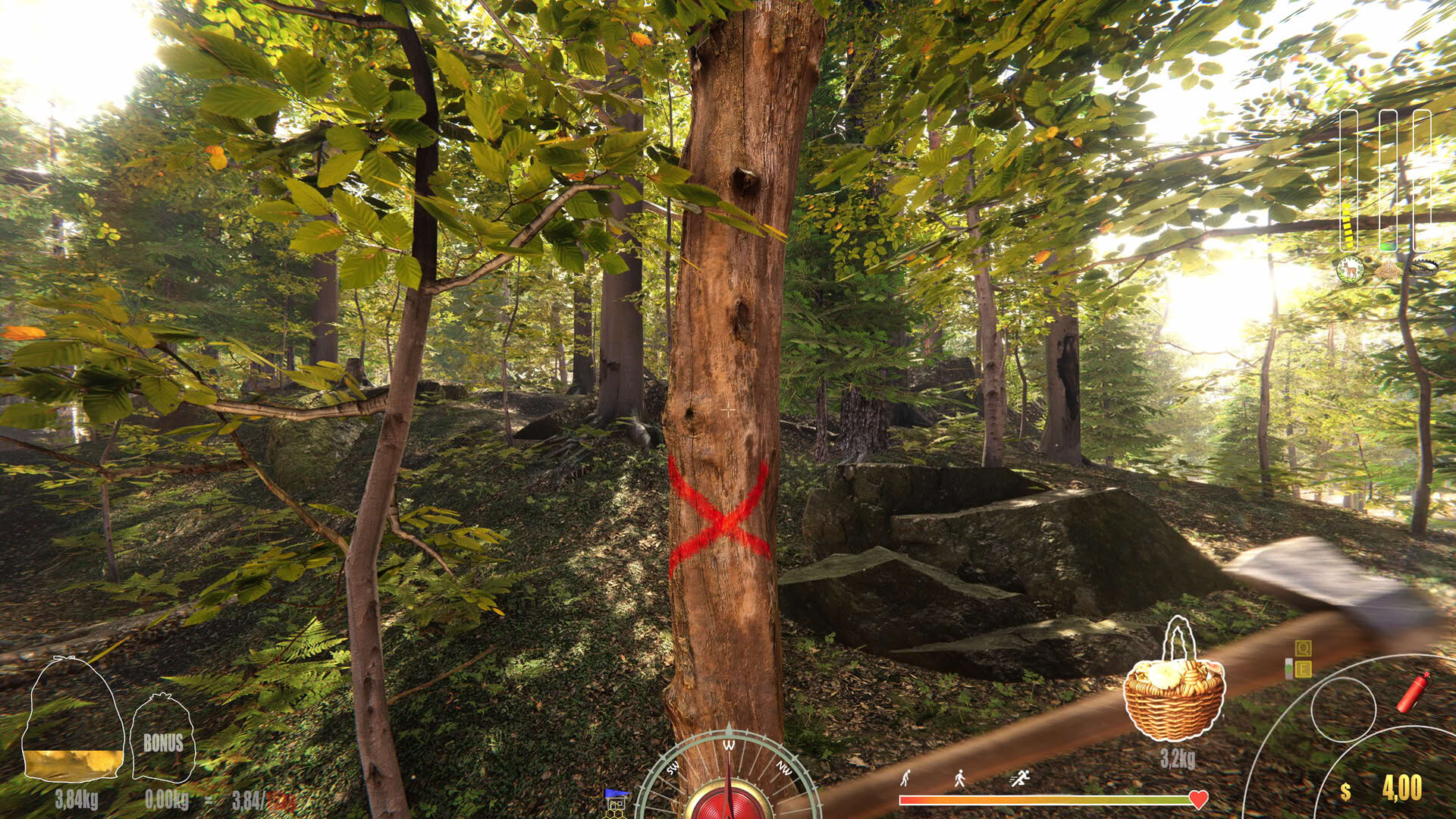 Screenshot for Forest Ranger Simulator
