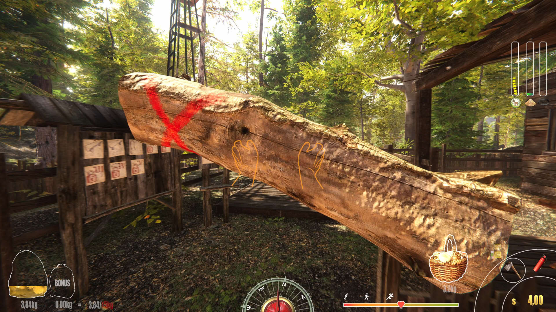 Screenshot for Forest Ranger Simulator