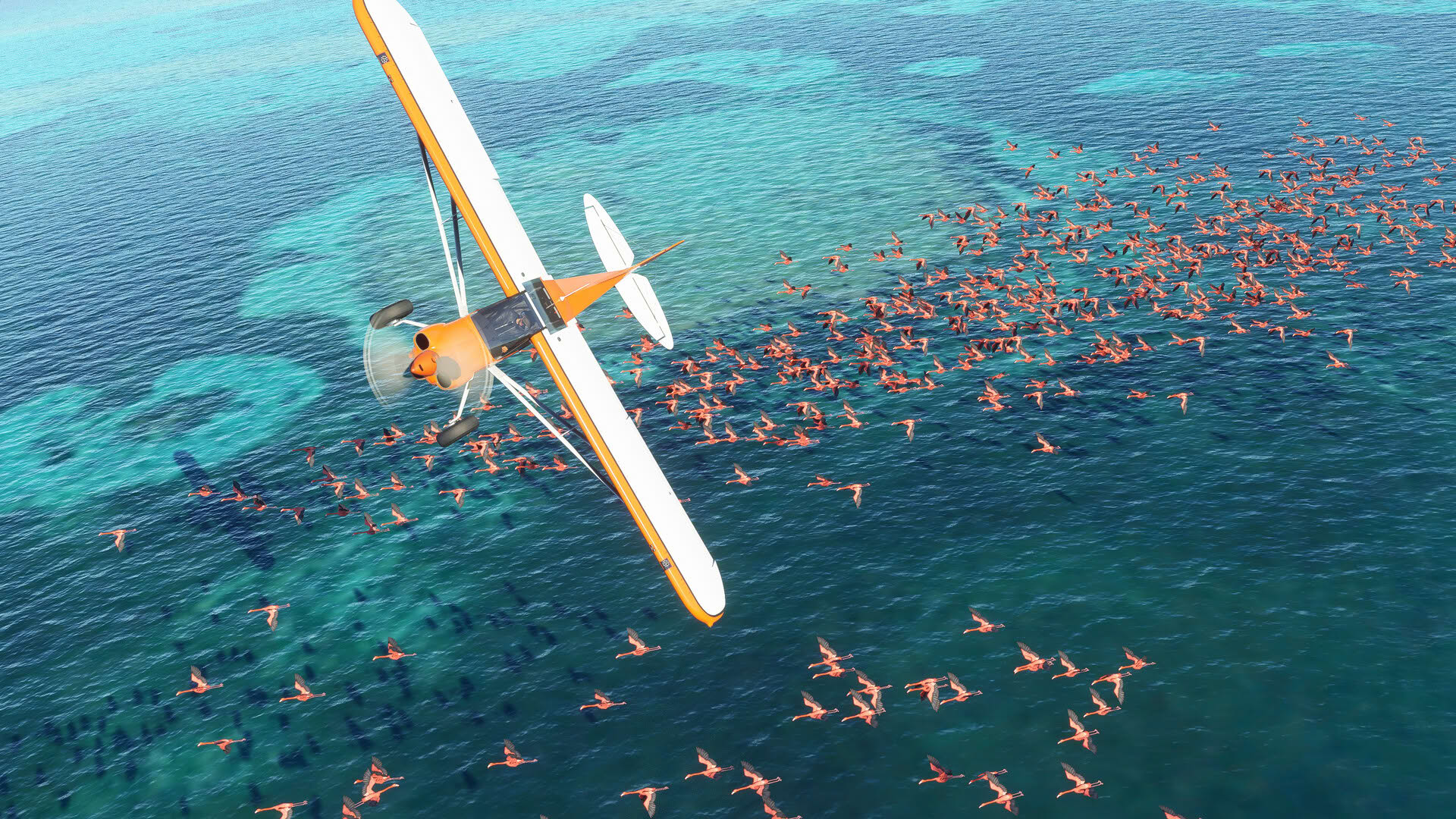 Screenshot for Microsoft Flight Simulator