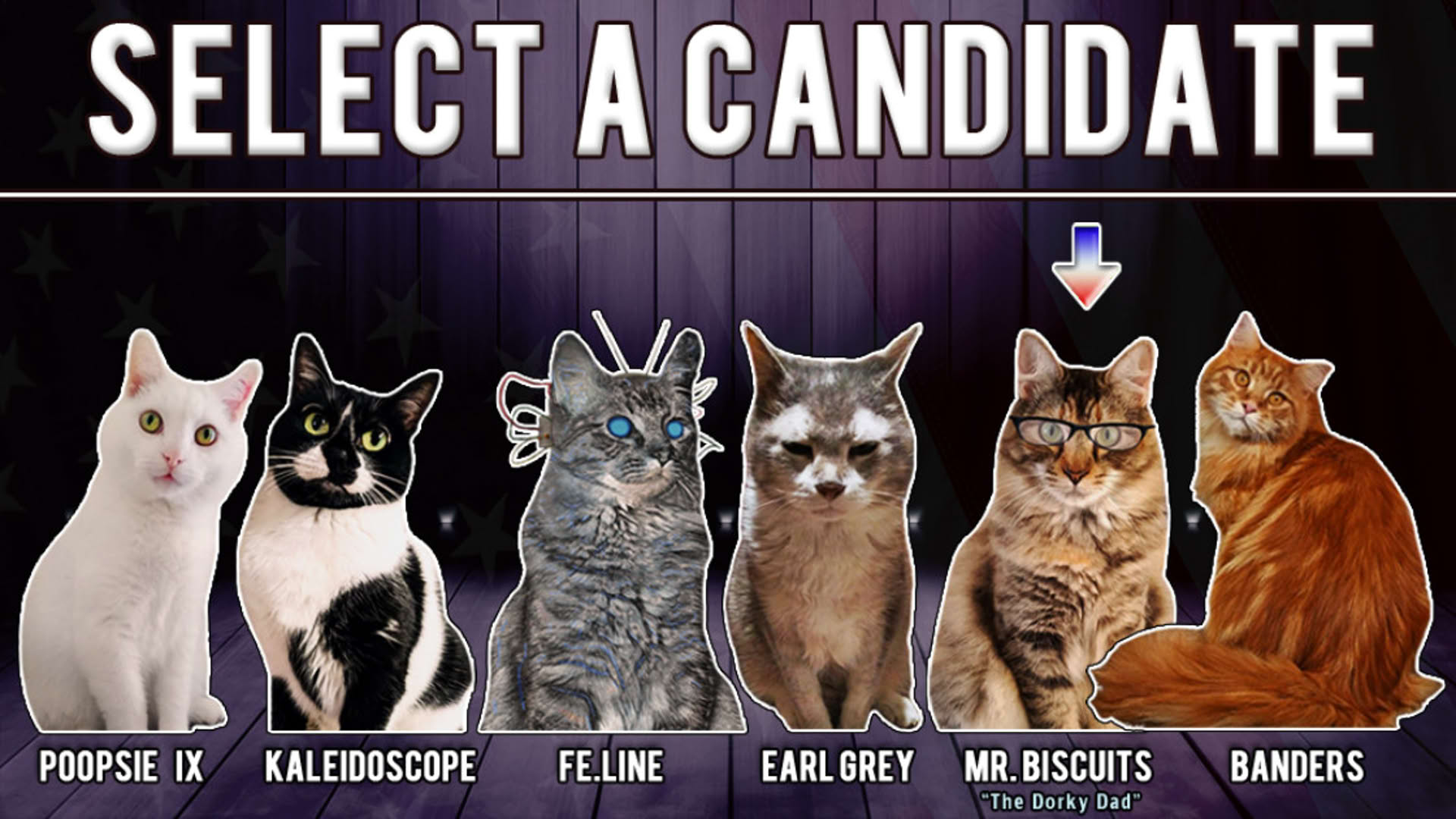 Screenshot for Cat President 2: Purrlitical Revolution