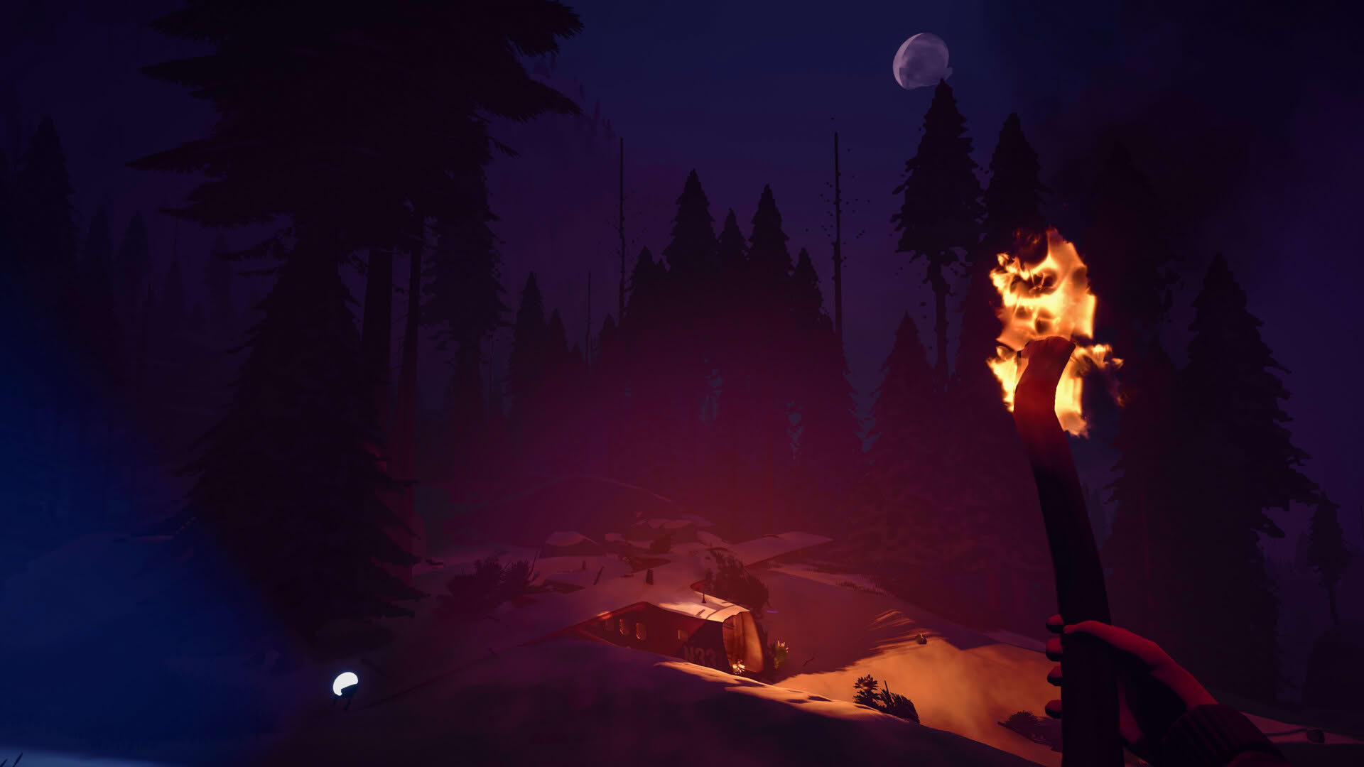Screenshot for Arctic Awakening