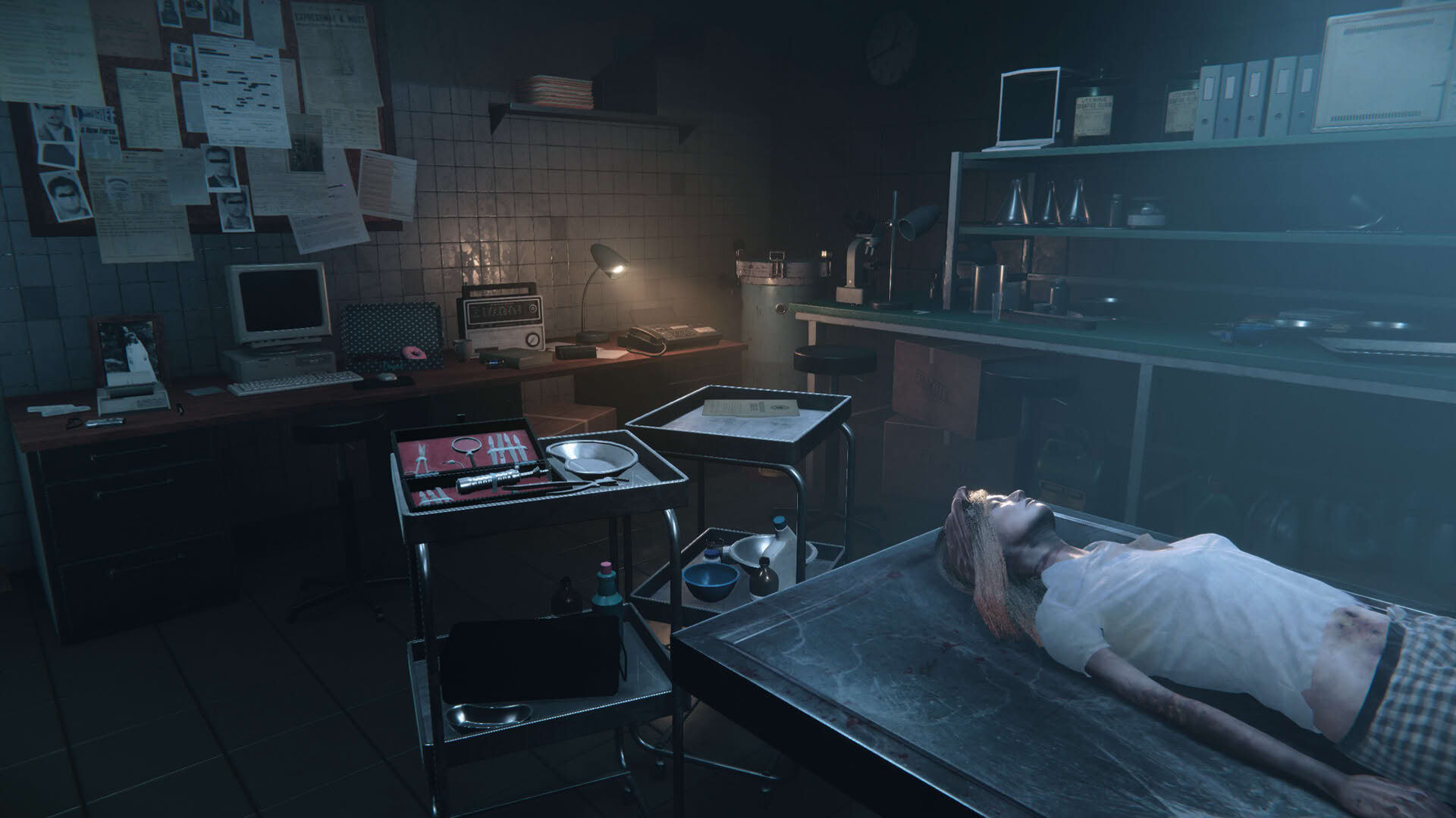 Screenshot for Autopsy Simulator