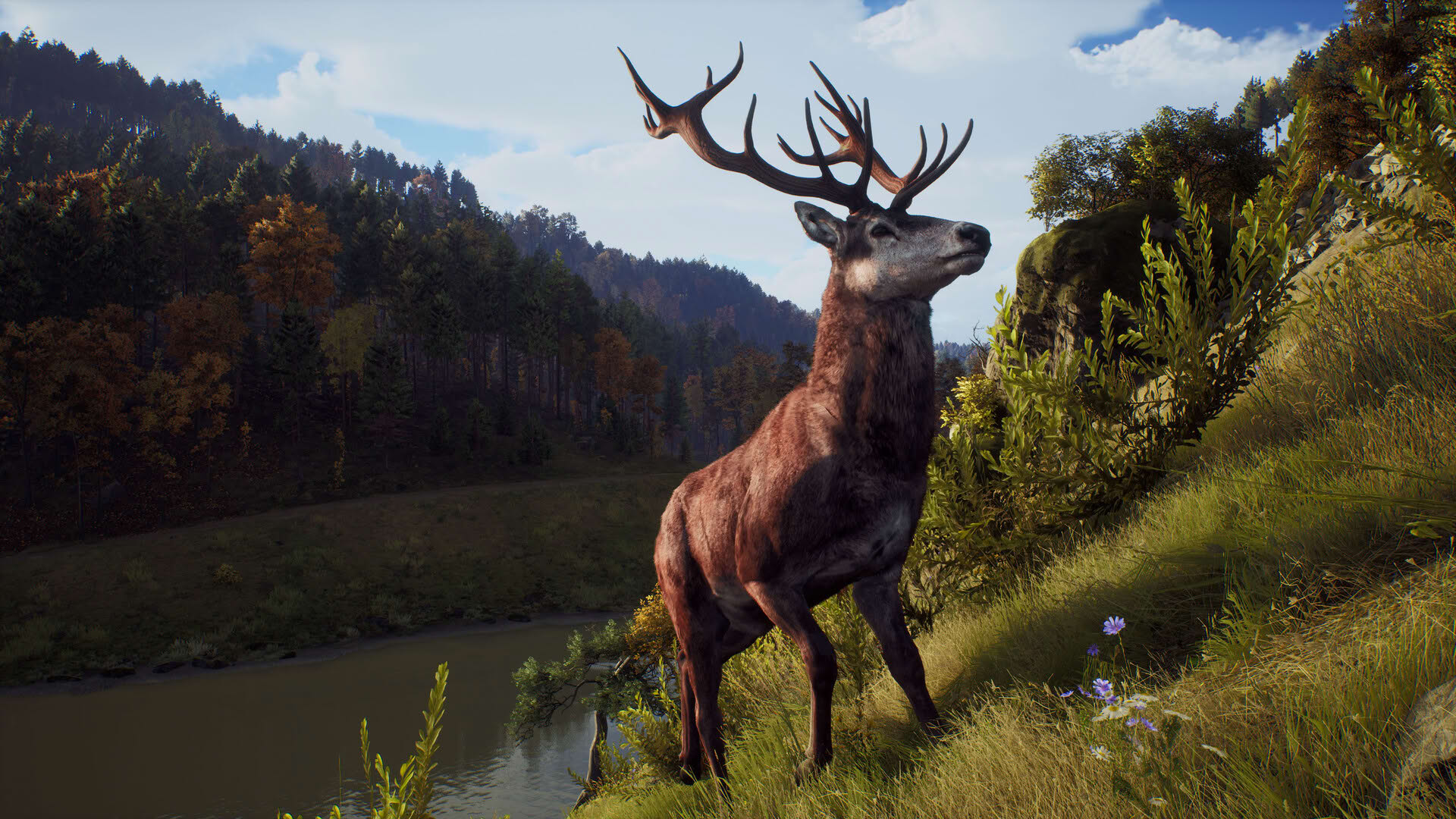 Screenshot for Way of the Hunter
