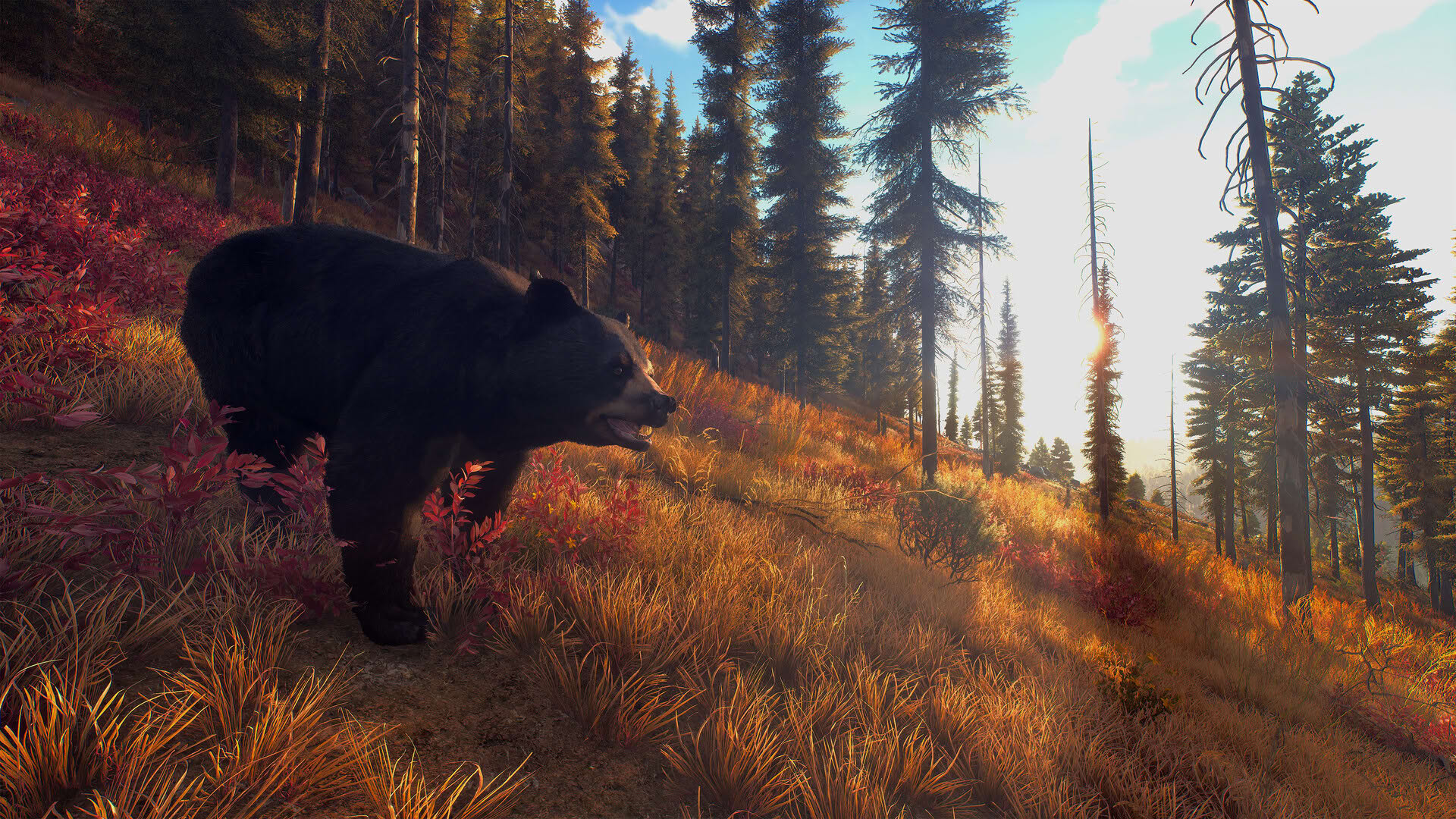 Screenshot for Way of the Hunter