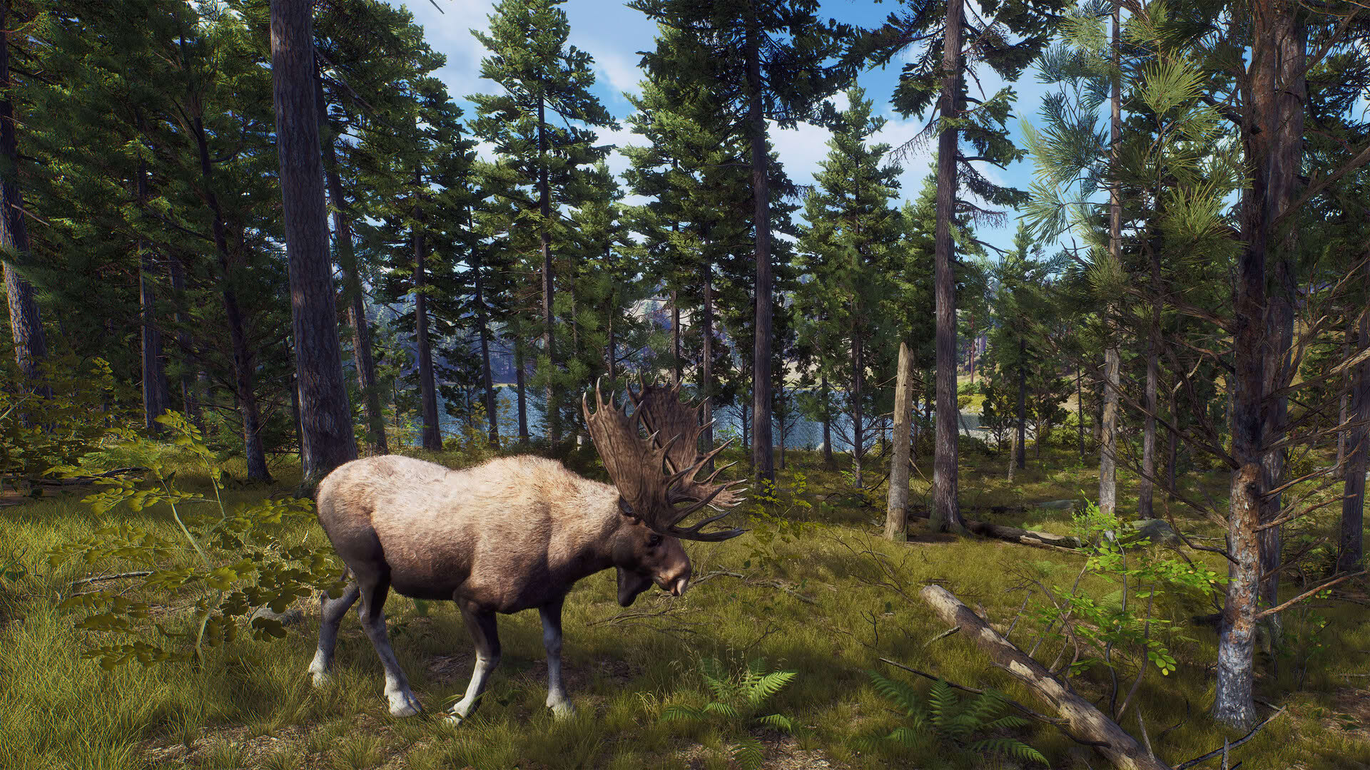 Screenshot for Way of the Hunter